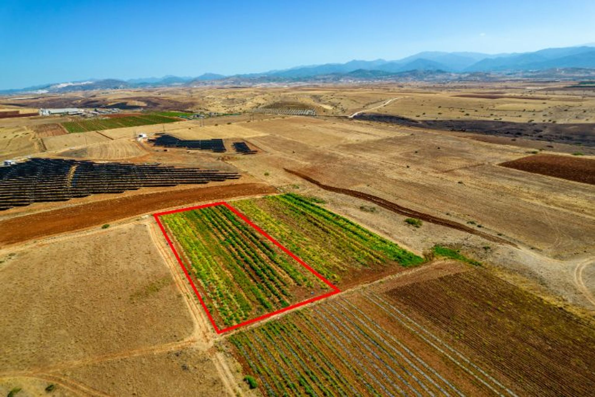 Land im Kokkinotrimithia, Lefkosia 12096582