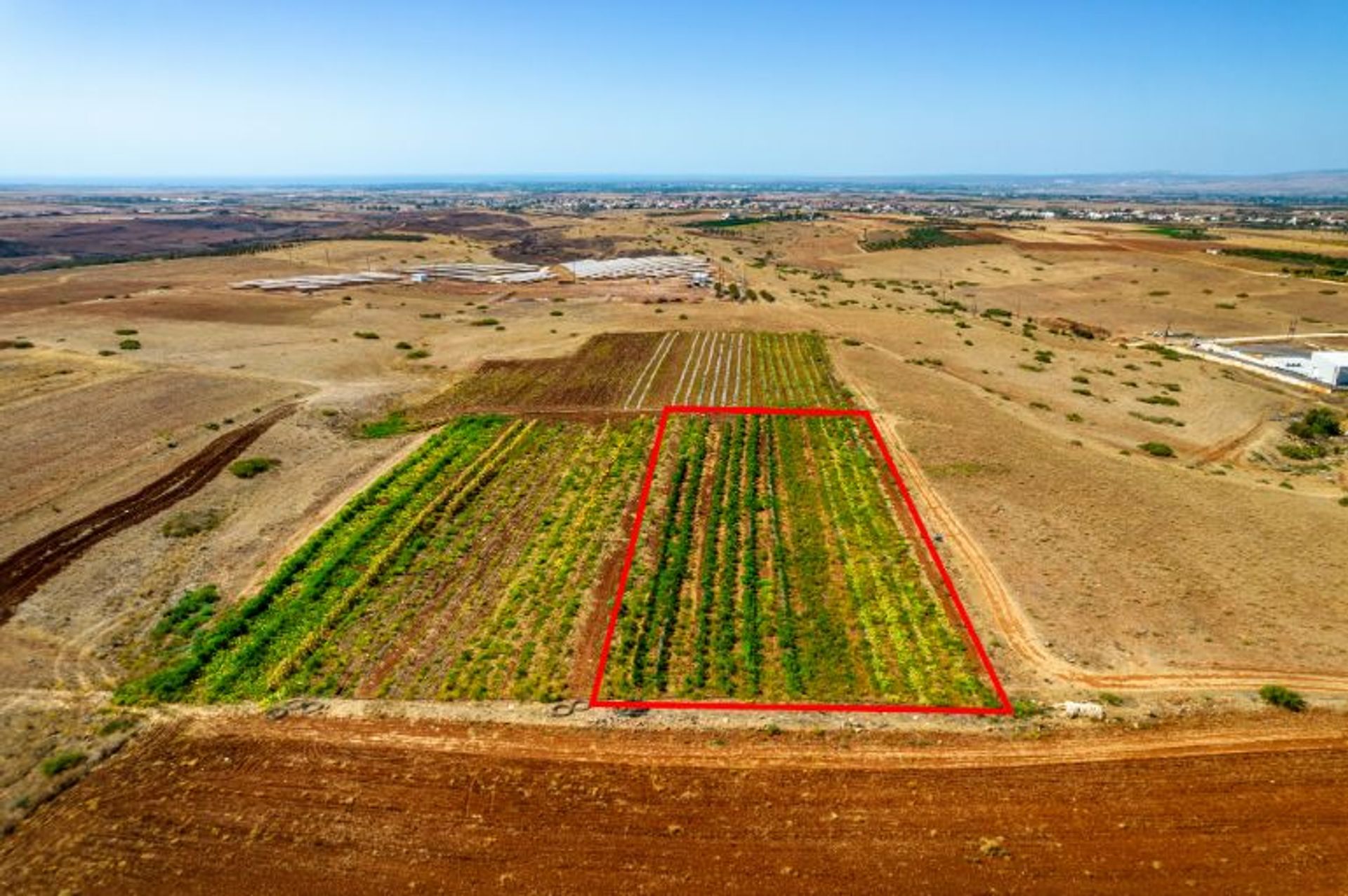 Land im Kokkinotrimithia, Lefkosia 12096582