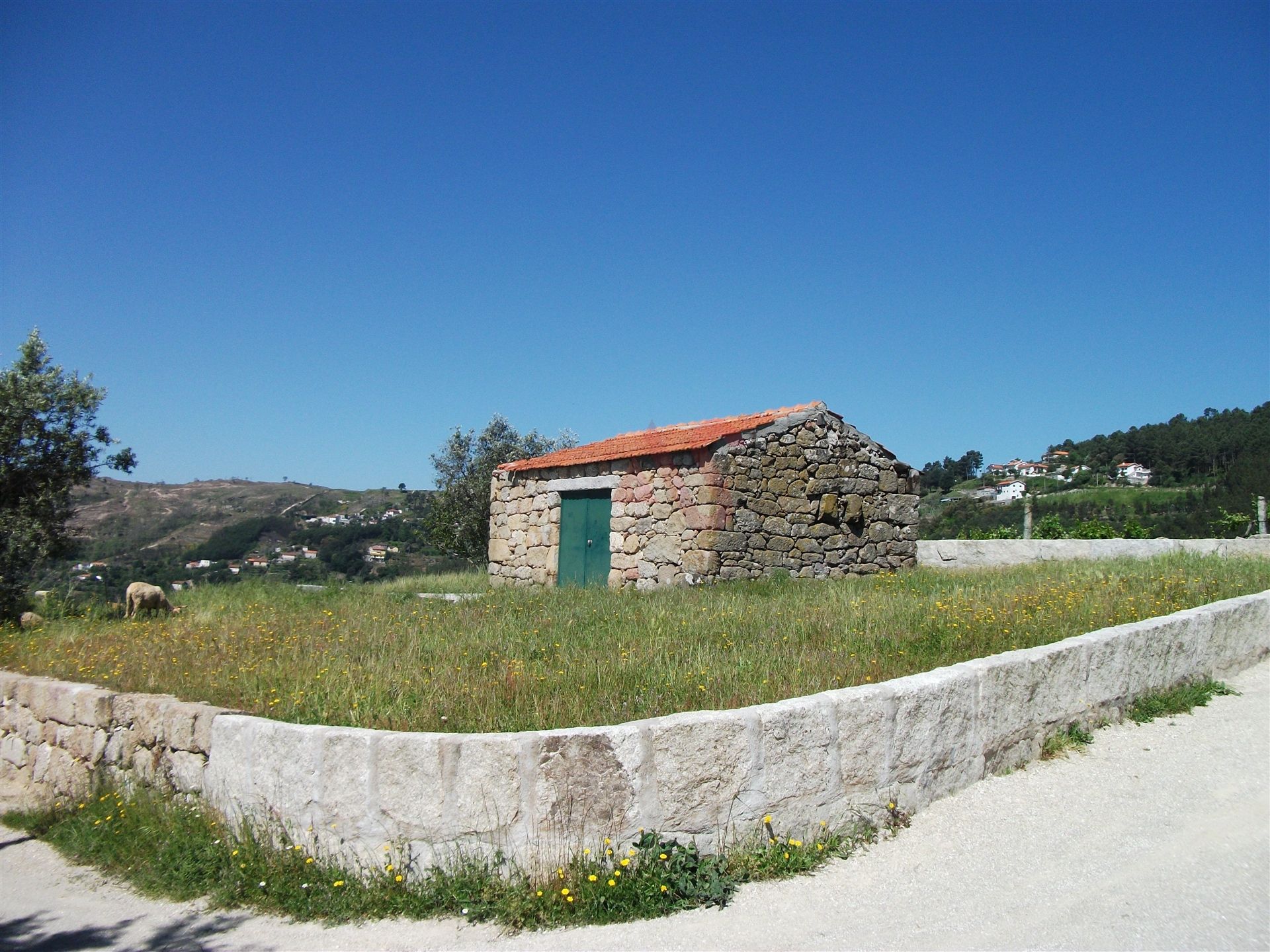 Γη σε Prado, Πόρτο 12097330