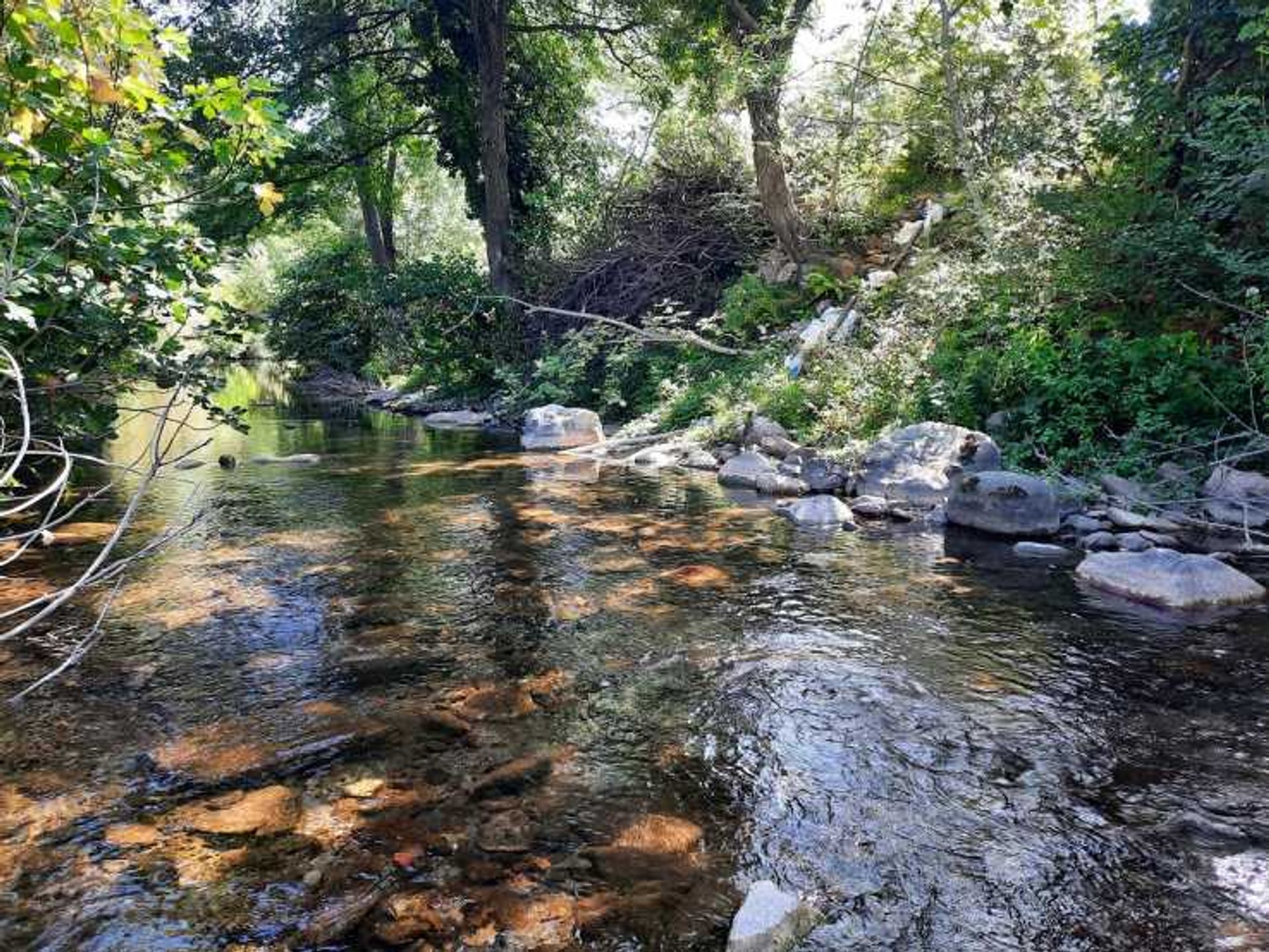 집 에 Saint-Pons-de-Thomières, Occitanie 12098192