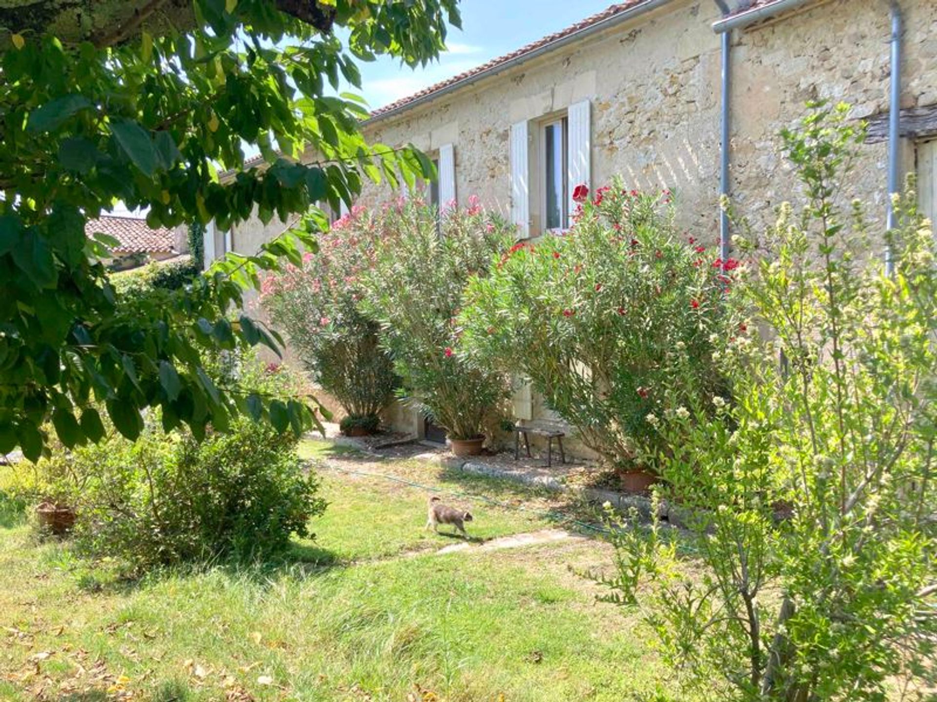 House in Pellegrue, Nouvelle-Aquitaine 12099775