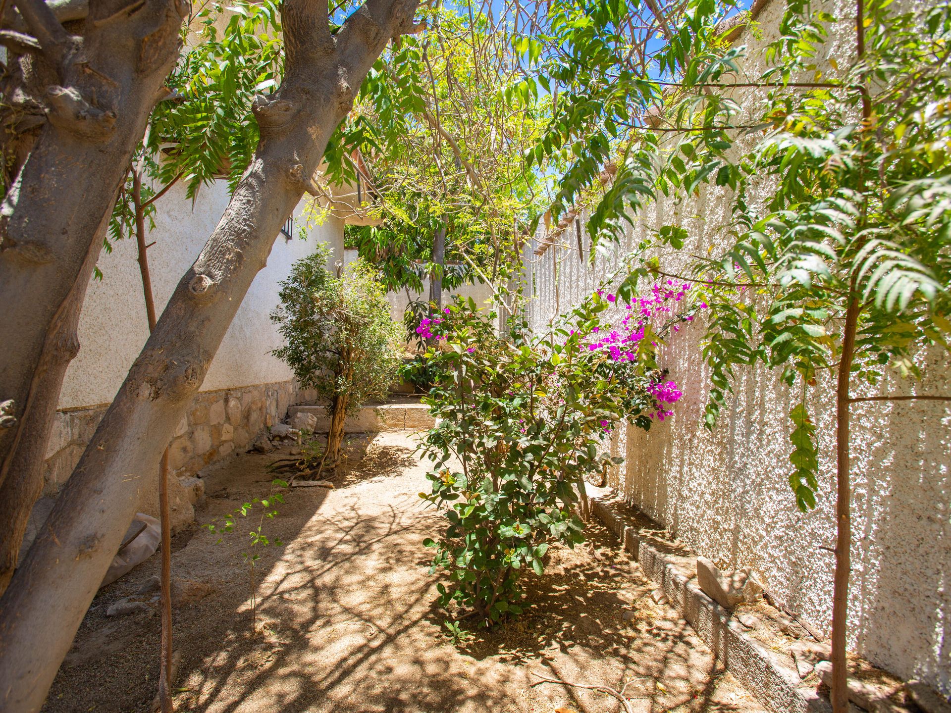 Casa nel Cabo San Lucas, Baja California Sur 12100110