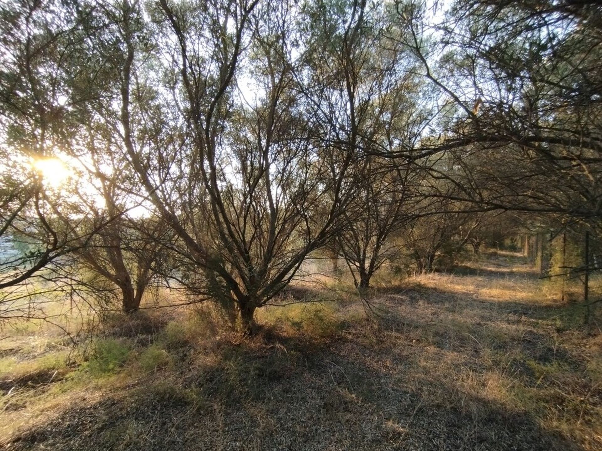 Terre dans Peraia, Kentriki Macédoine 12100284