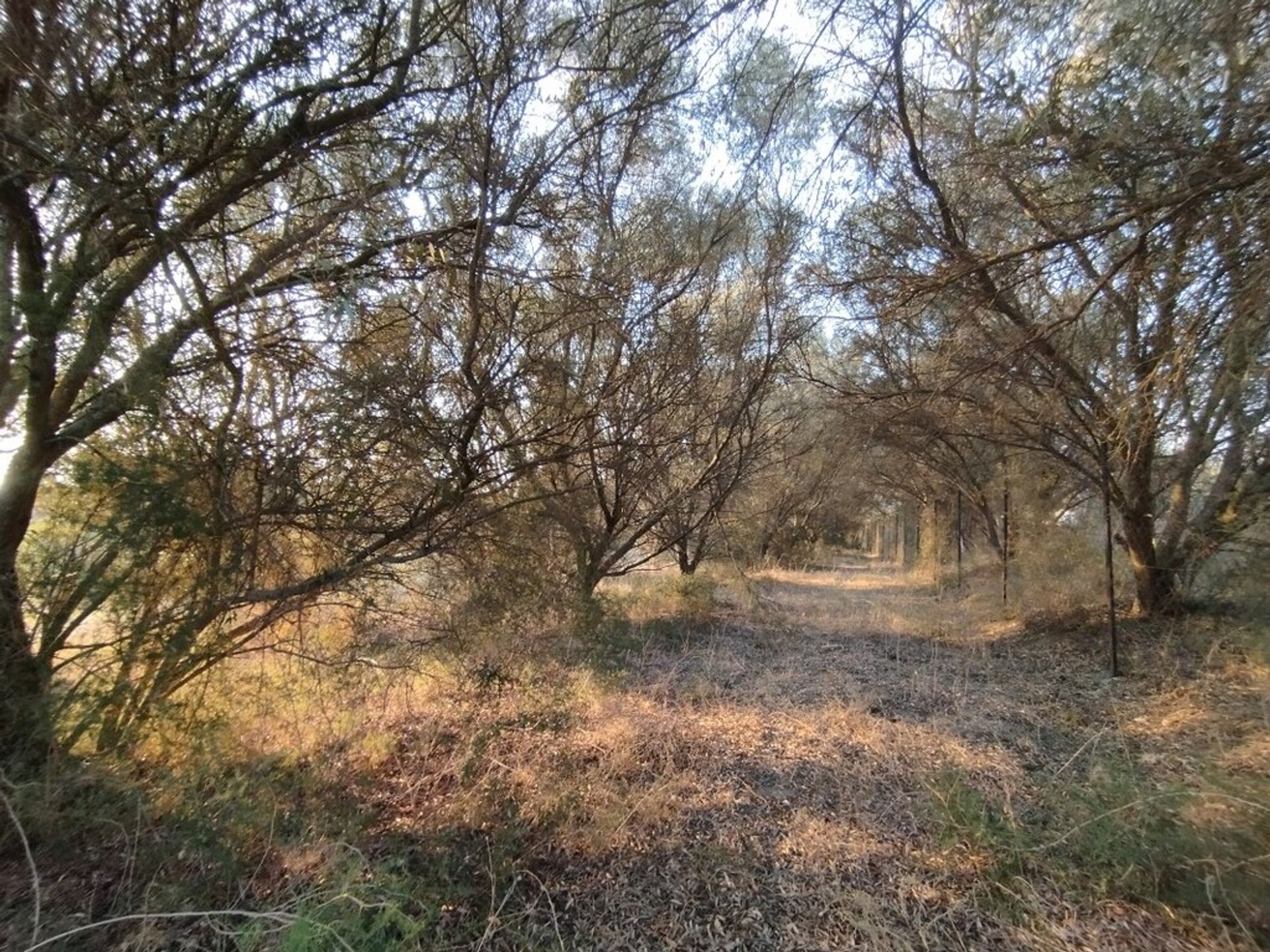 Земля в Перайя, Kentriki Makedonia 12100284