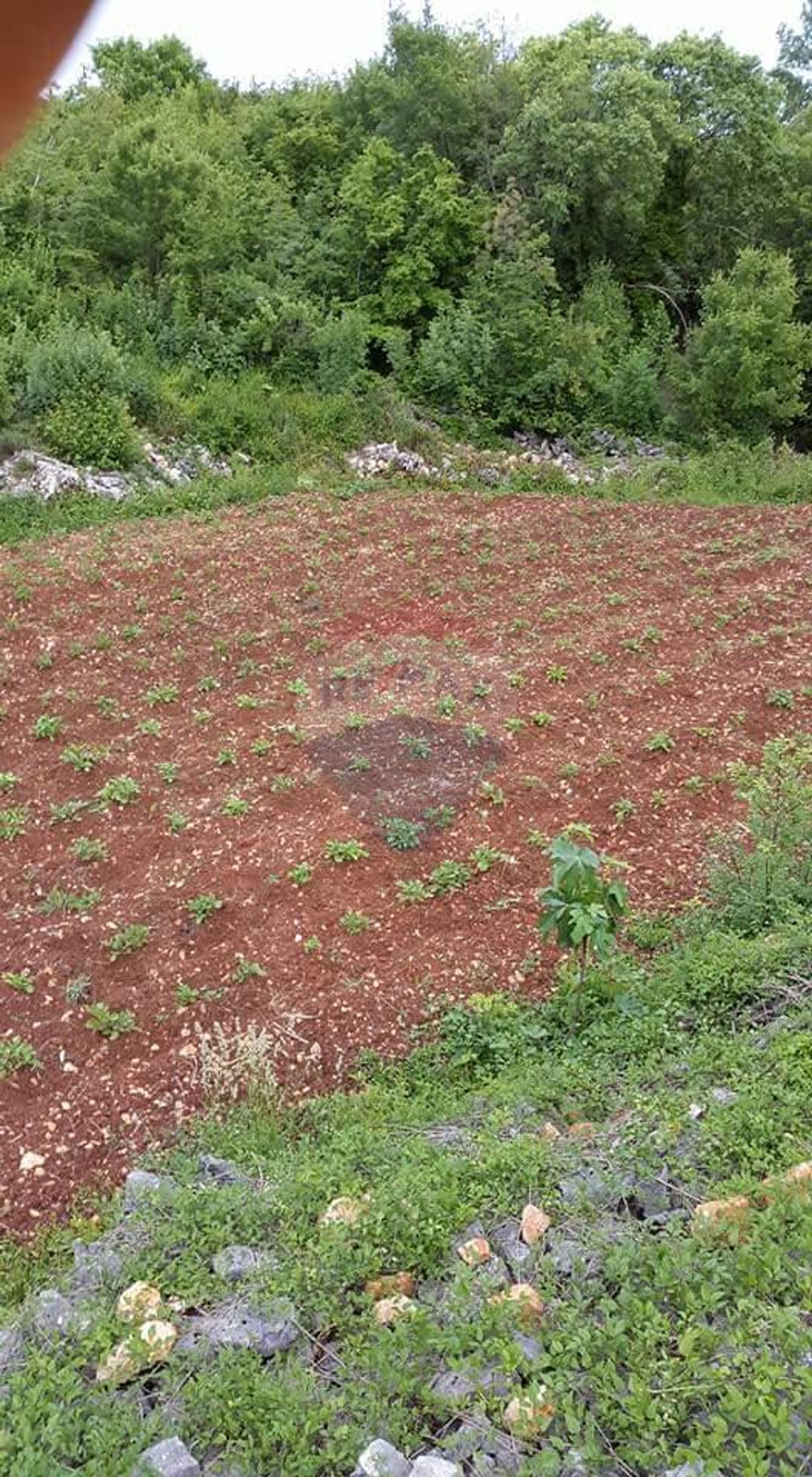 Tanah di Dobrinj, Primorsko-Goranska Zupanija 12100989