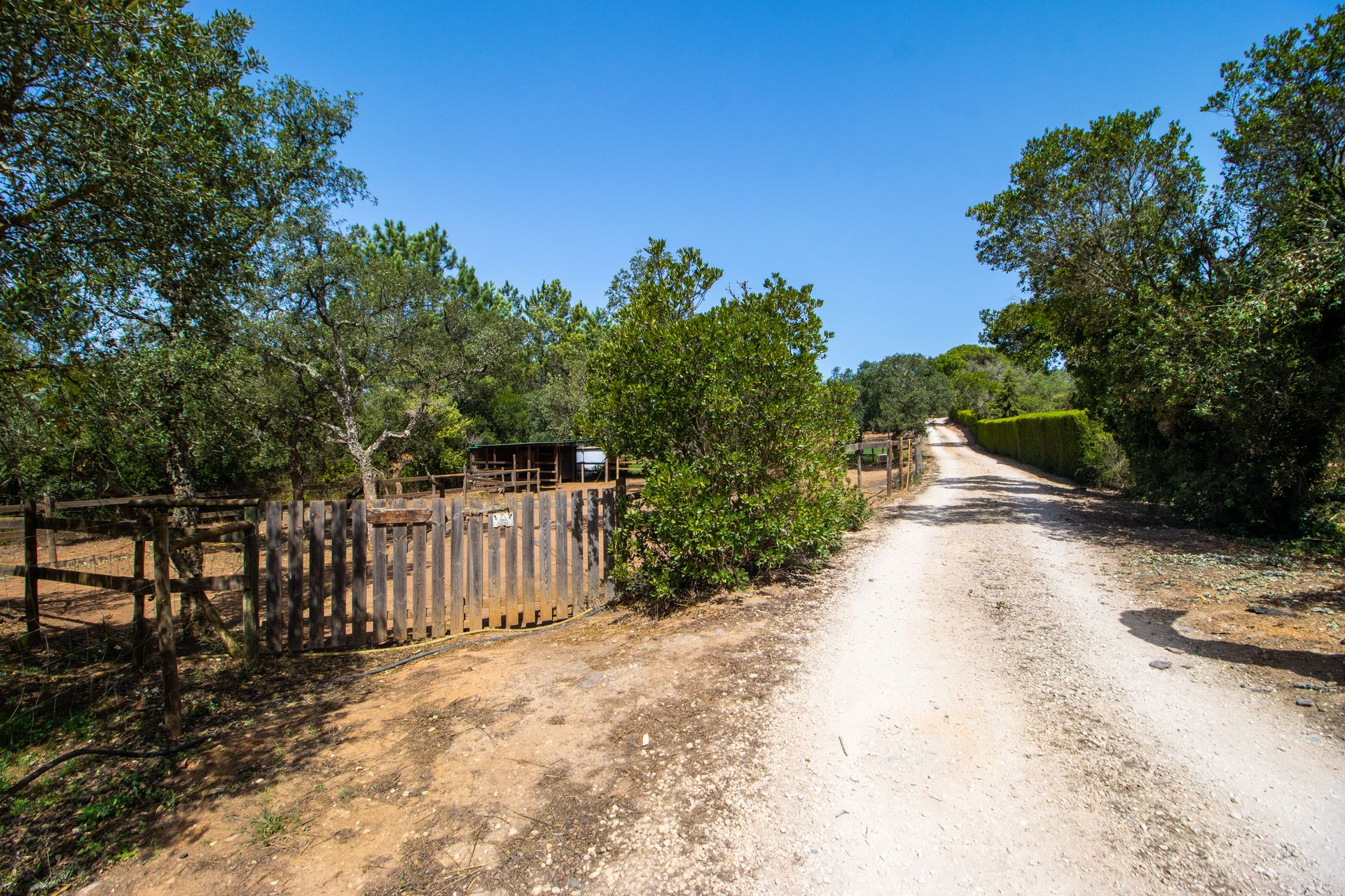 casa en , Faro 12101592