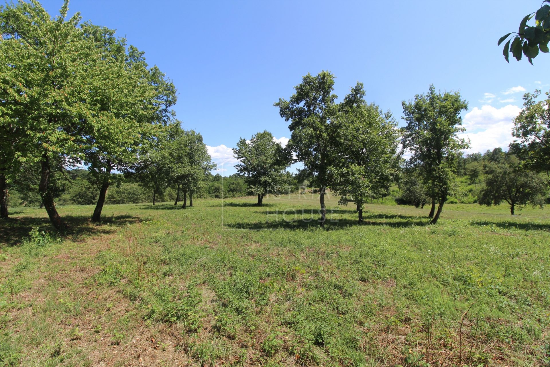 Land in Poreč, Istria County 12101737