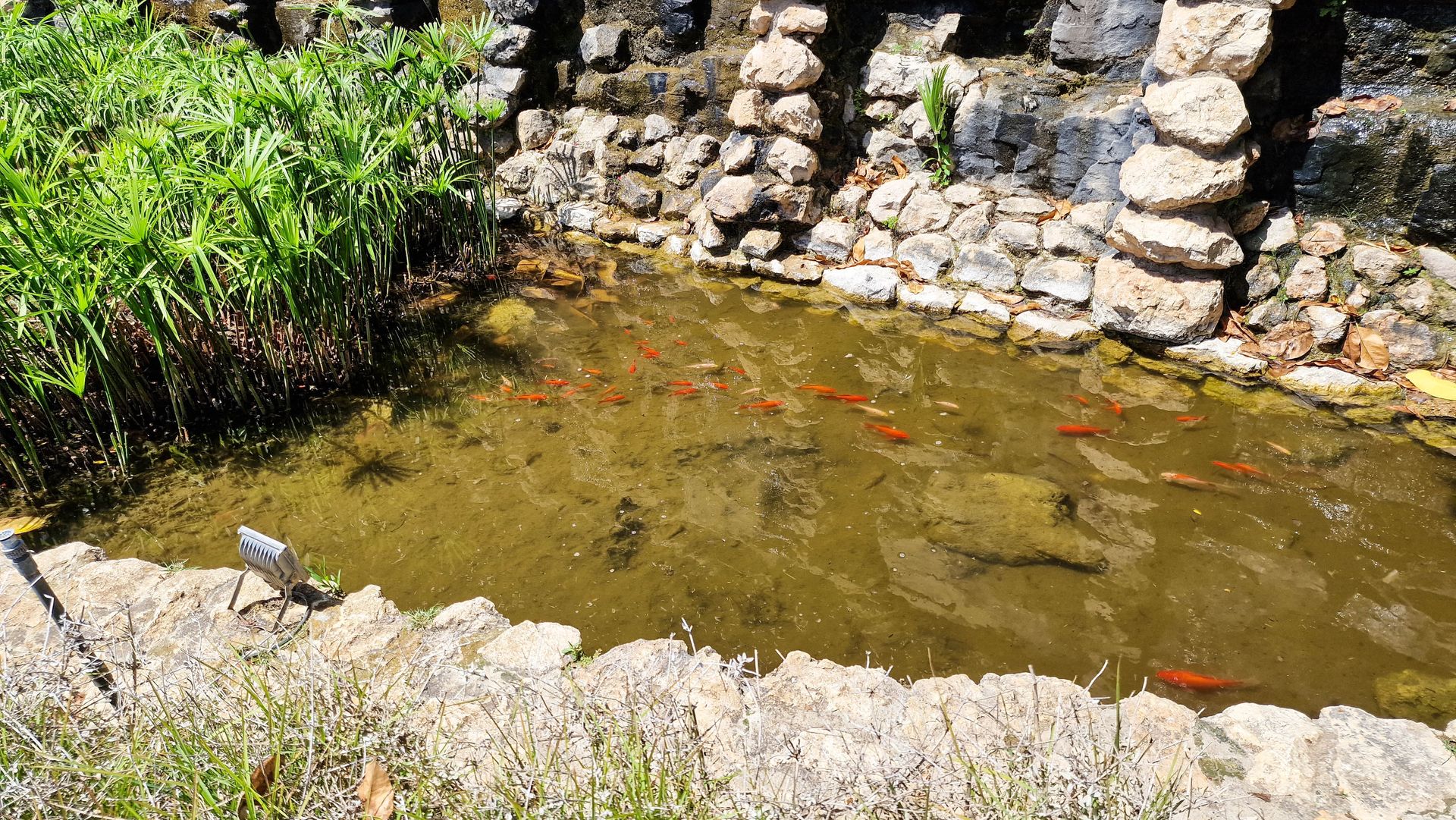 집 에 Bahía de Casares, Andalucía 12101765