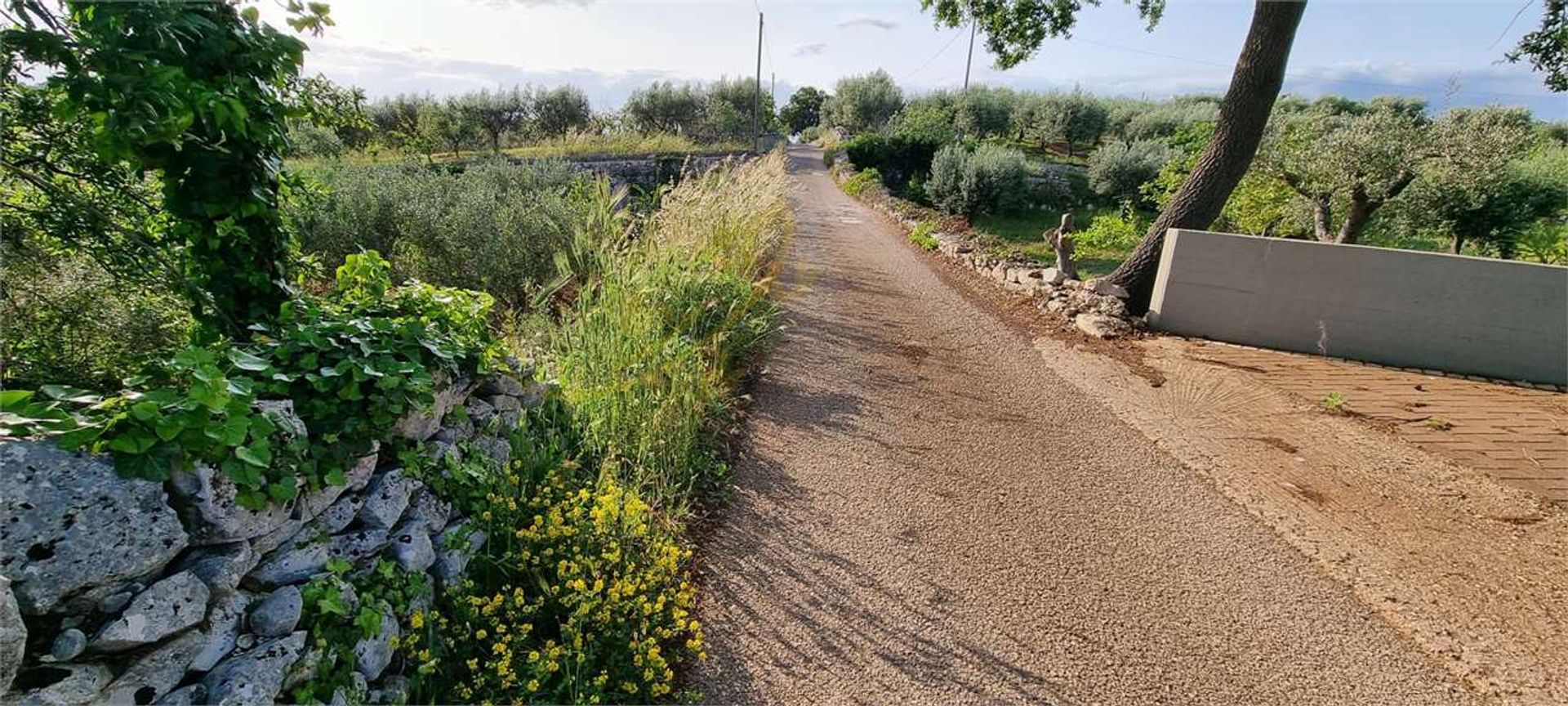 Terre dans Monopoli, Apulia 12102963