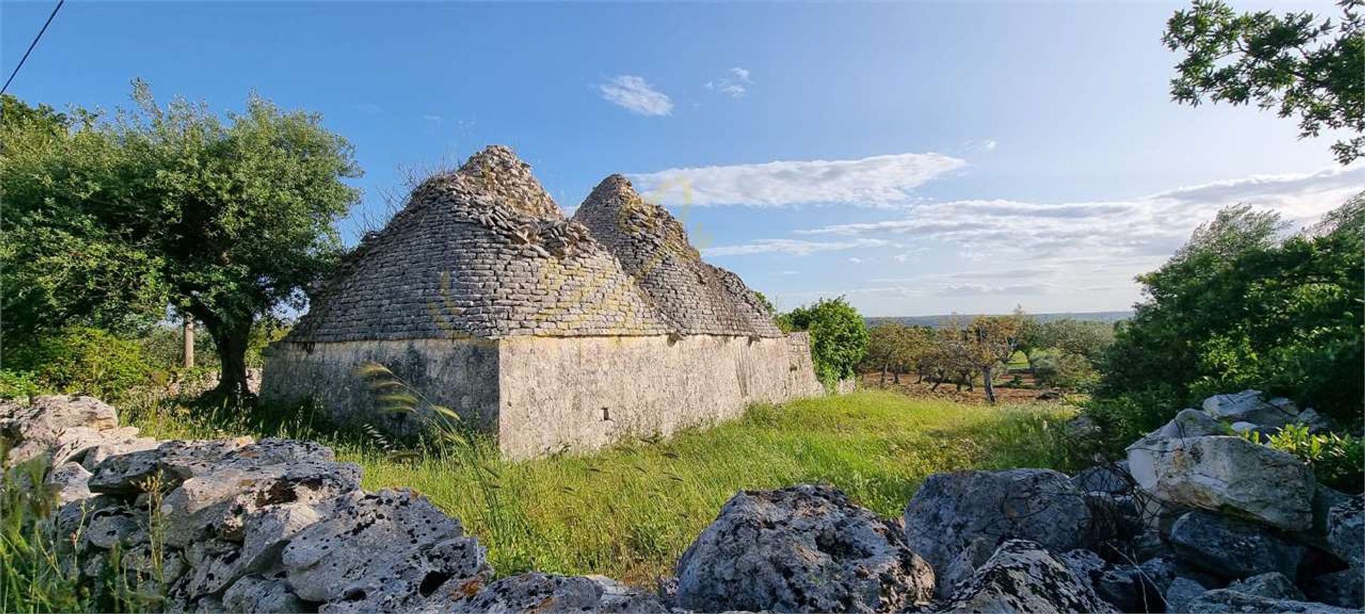 Land in Monopoli, Puglia 12102963