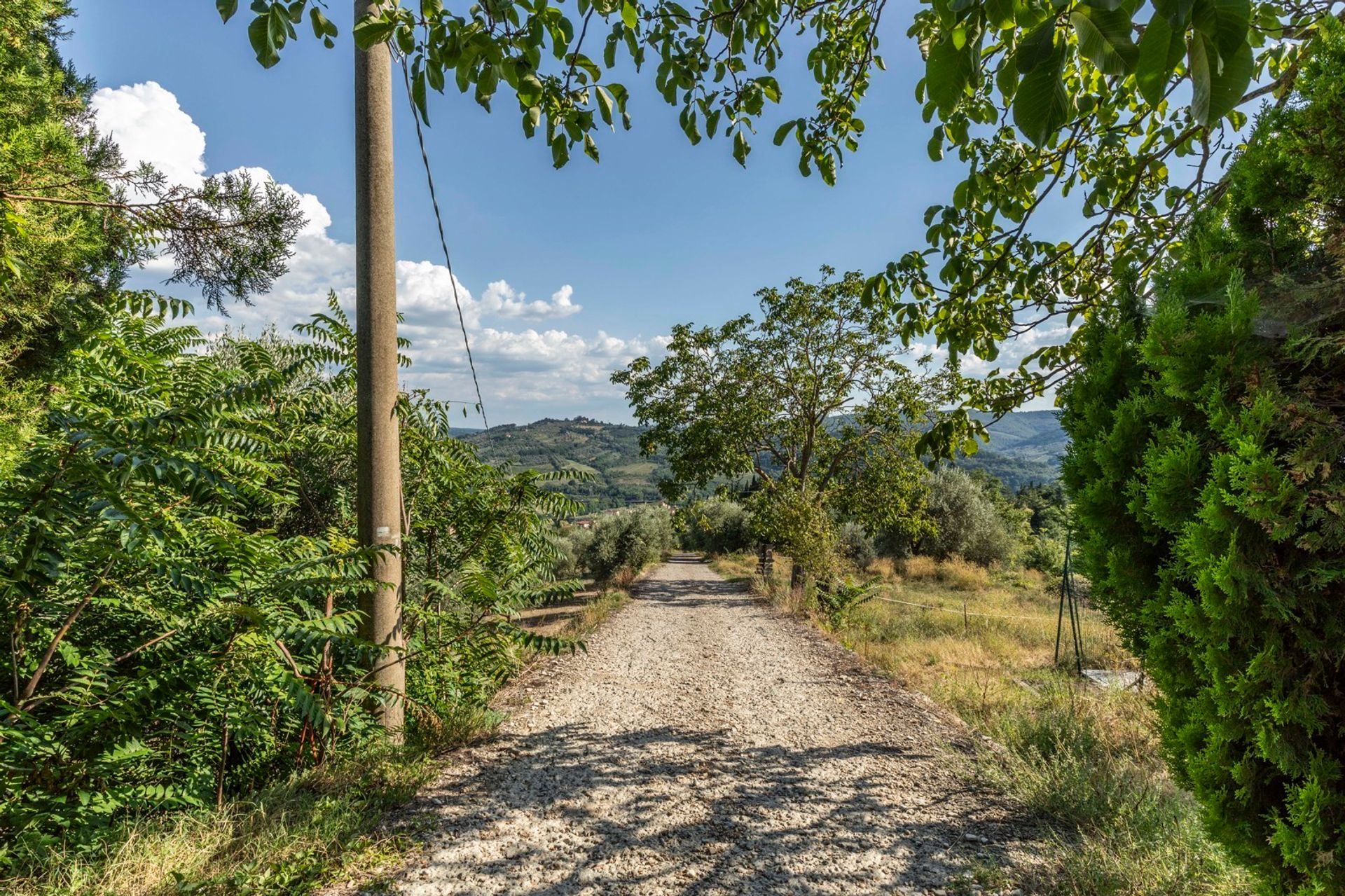 Συγκυριαρχία σε ,  12103647