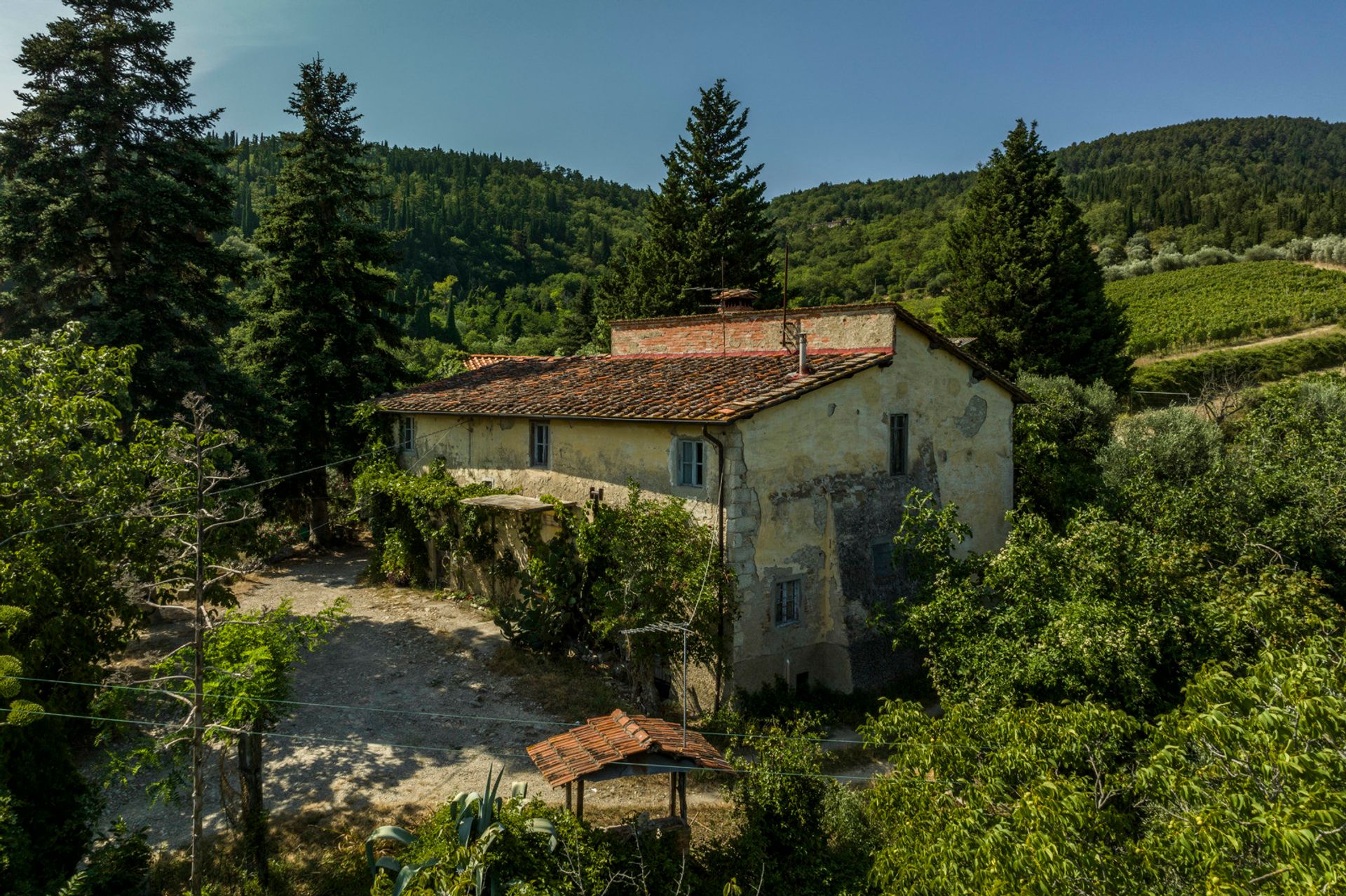 Συγκυριαρχία σε ,  12103647