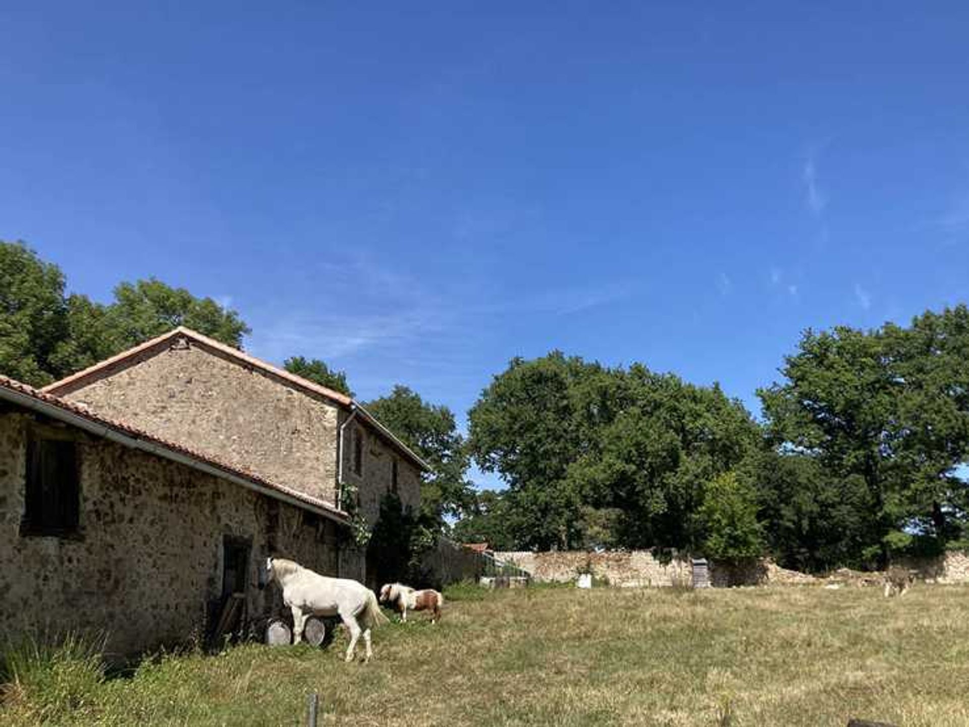 House in Confolens, Nouvelle-Aquitaine 12104019