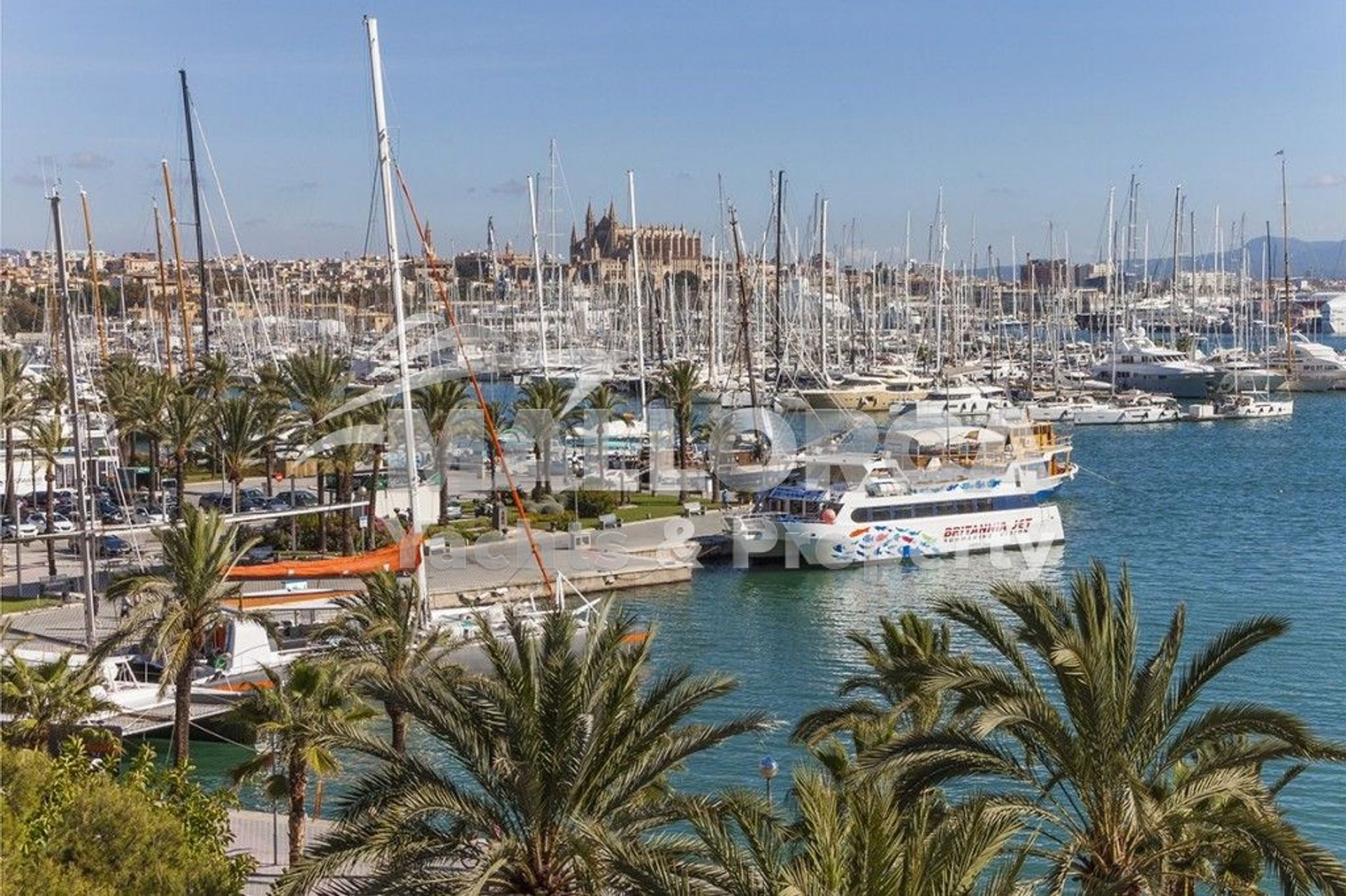 Condominium dans Palma, les Îles Baléares 12105222