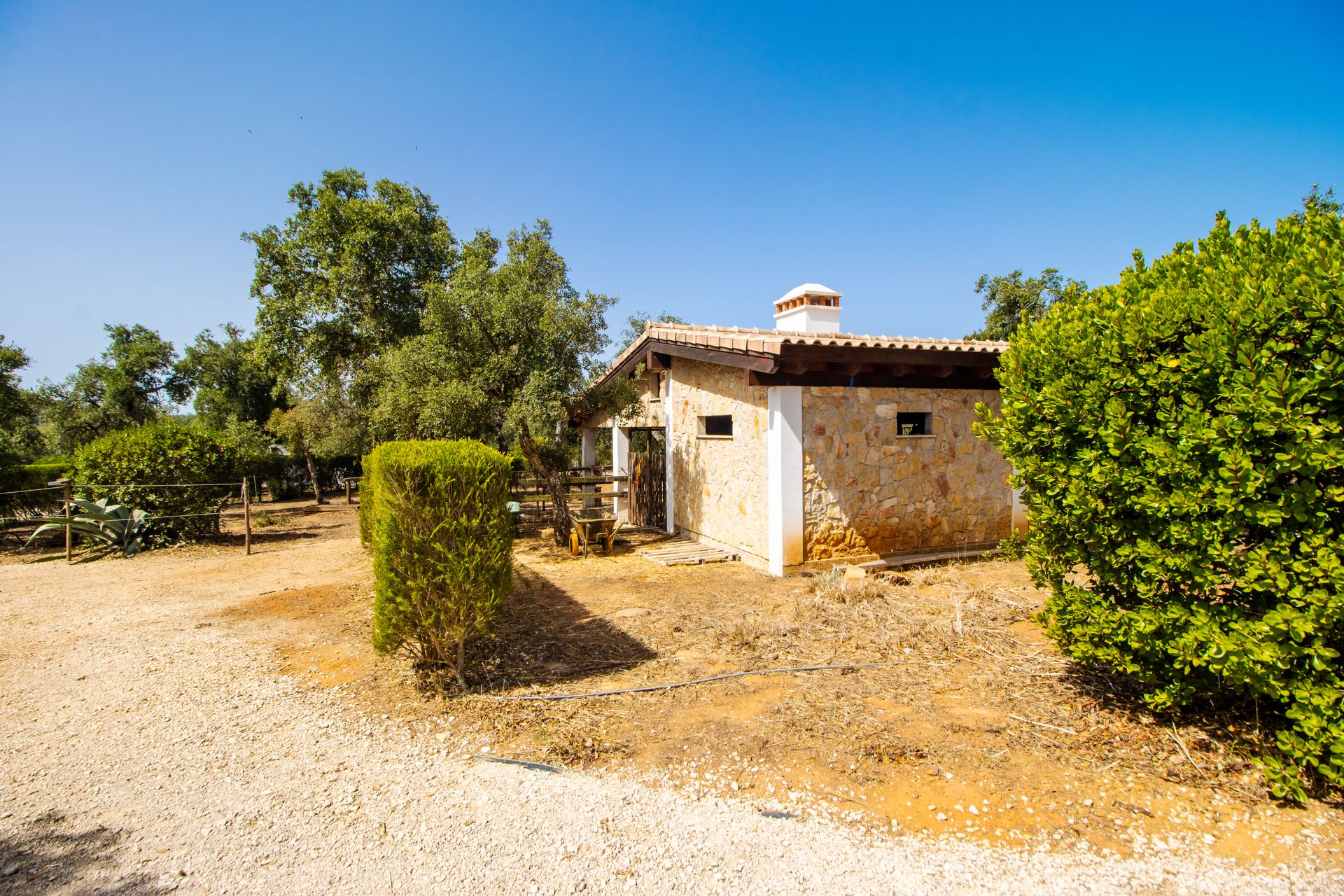 House in , Faro 12106470