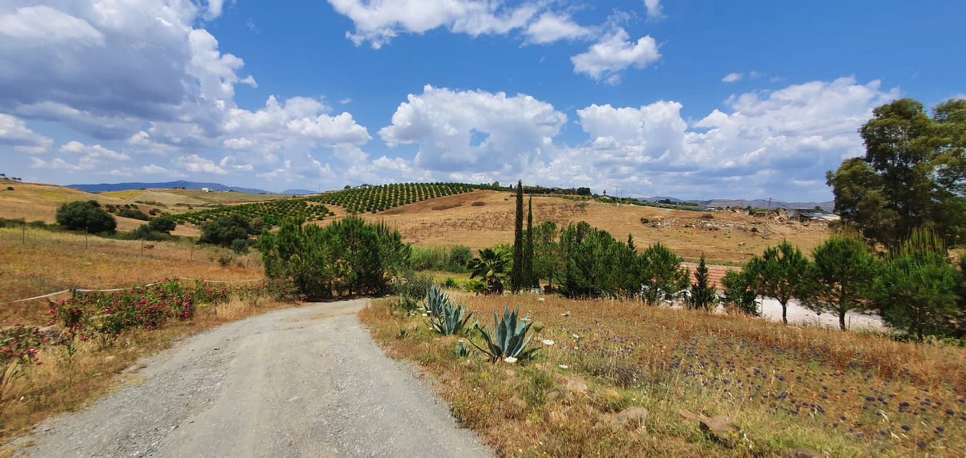 Rumah di Cártama, Andalusia 12107148