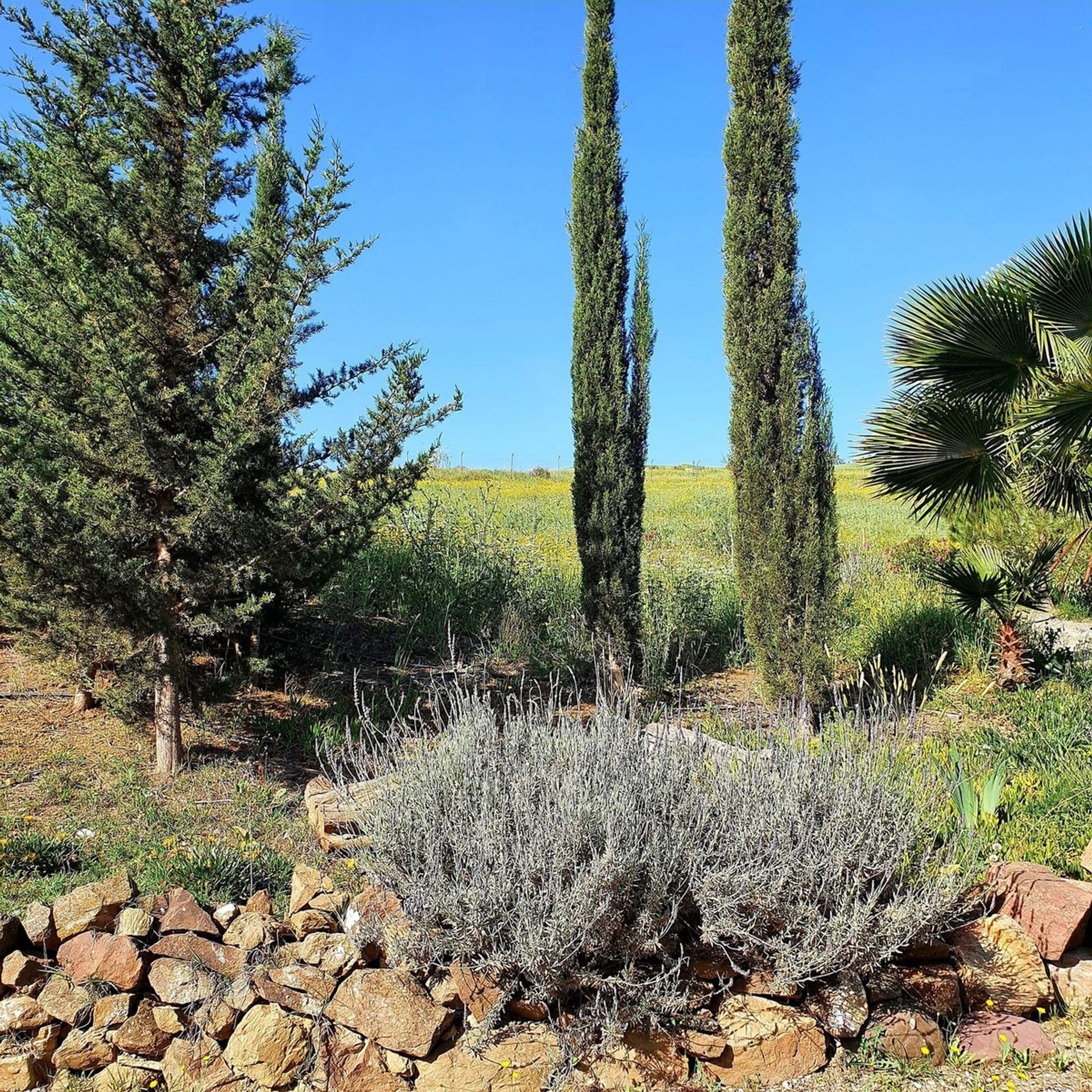 Rumah di Cártama, Andalusia 12107148