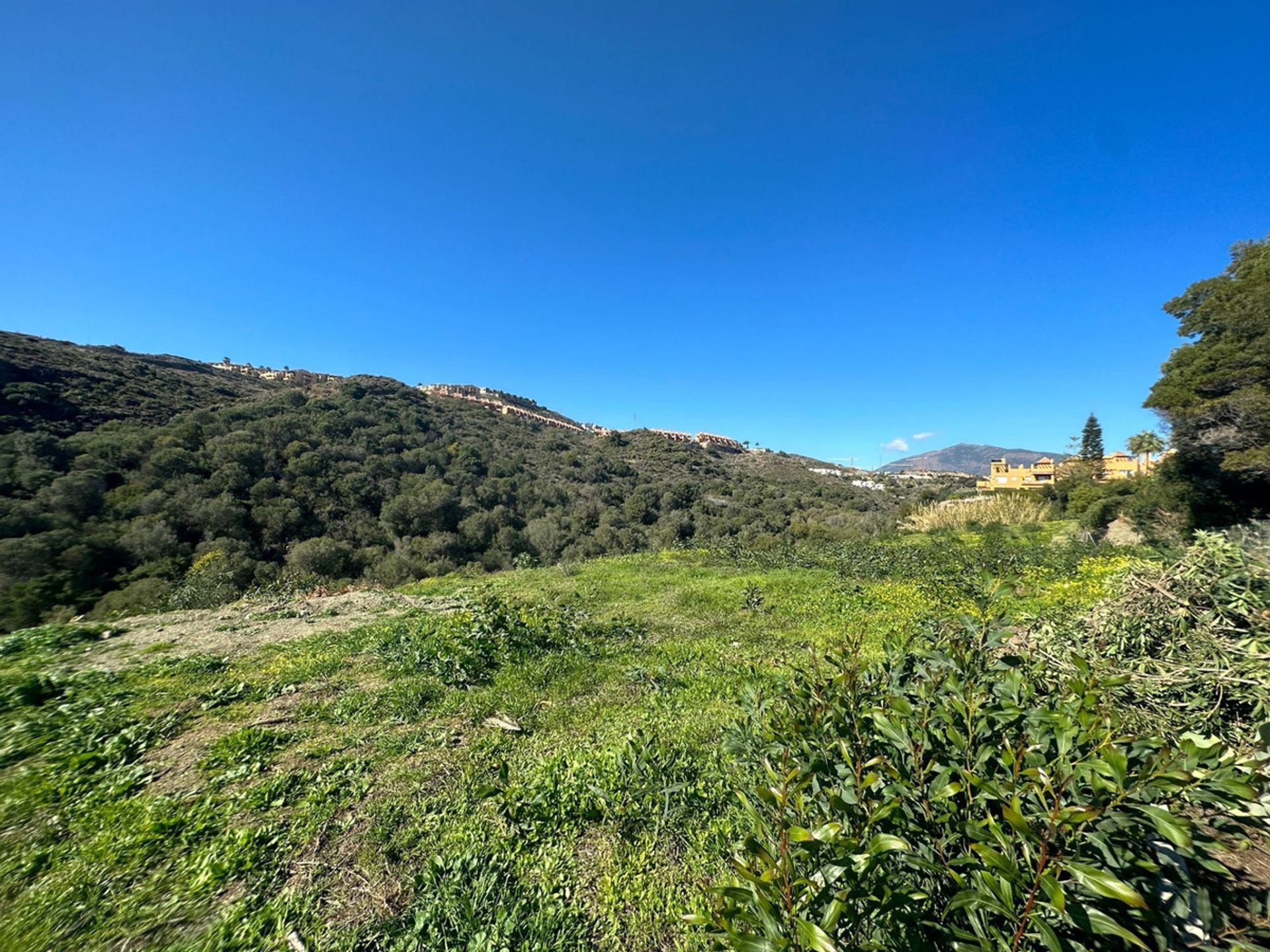 Land in Benahavis, Andalusië 12107404