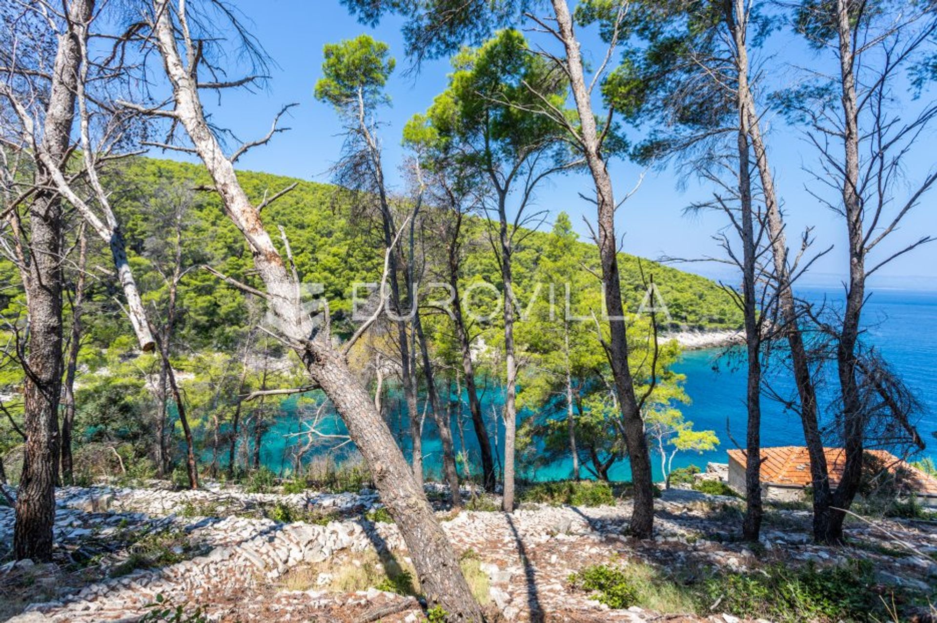 Tanah dalam Vela Luka, Dubrovacko-Neretvanska Zupanija 12108022