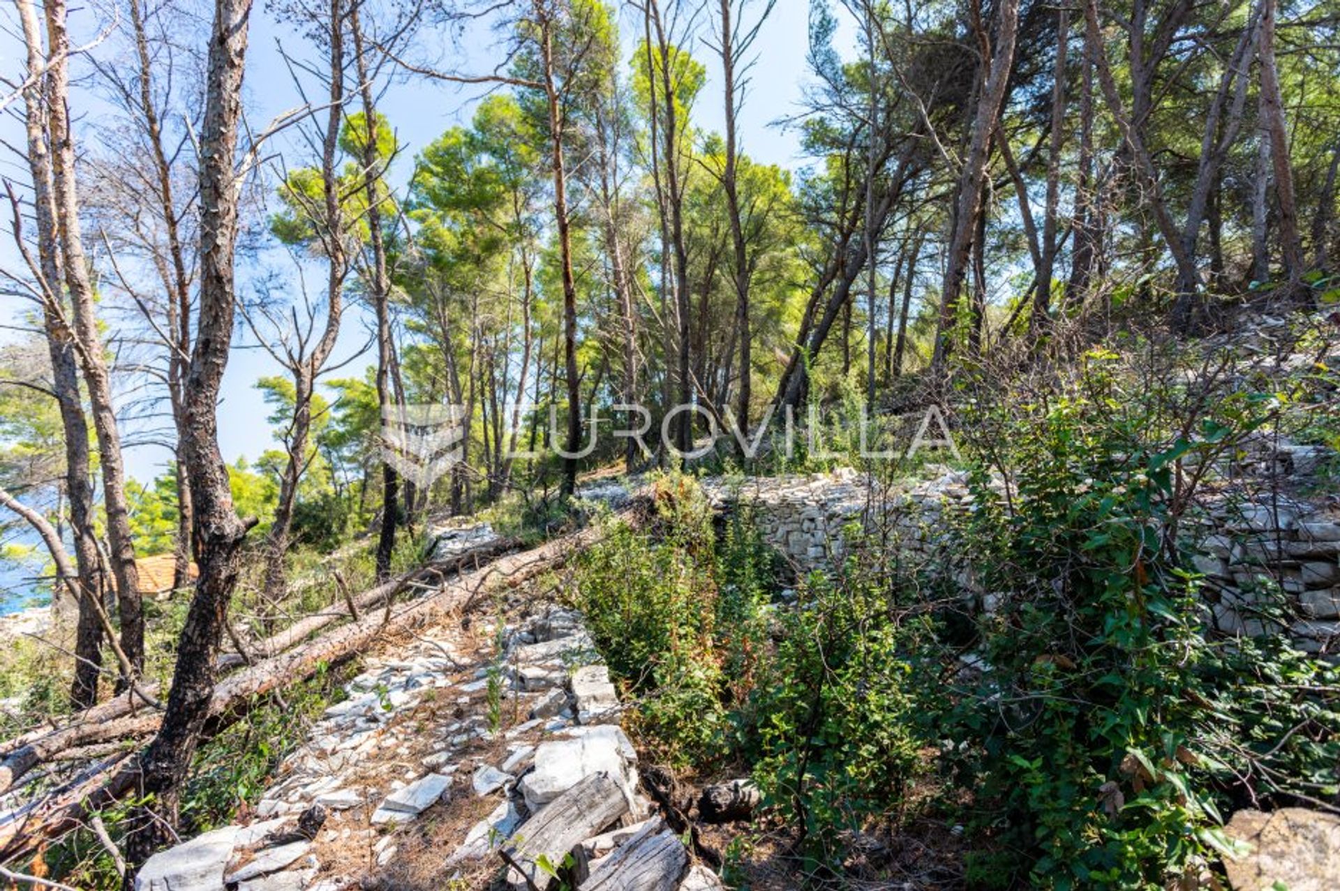 الأرض في Vela Luka, Dubrovacko-Neretvanska Zupanija 12108022