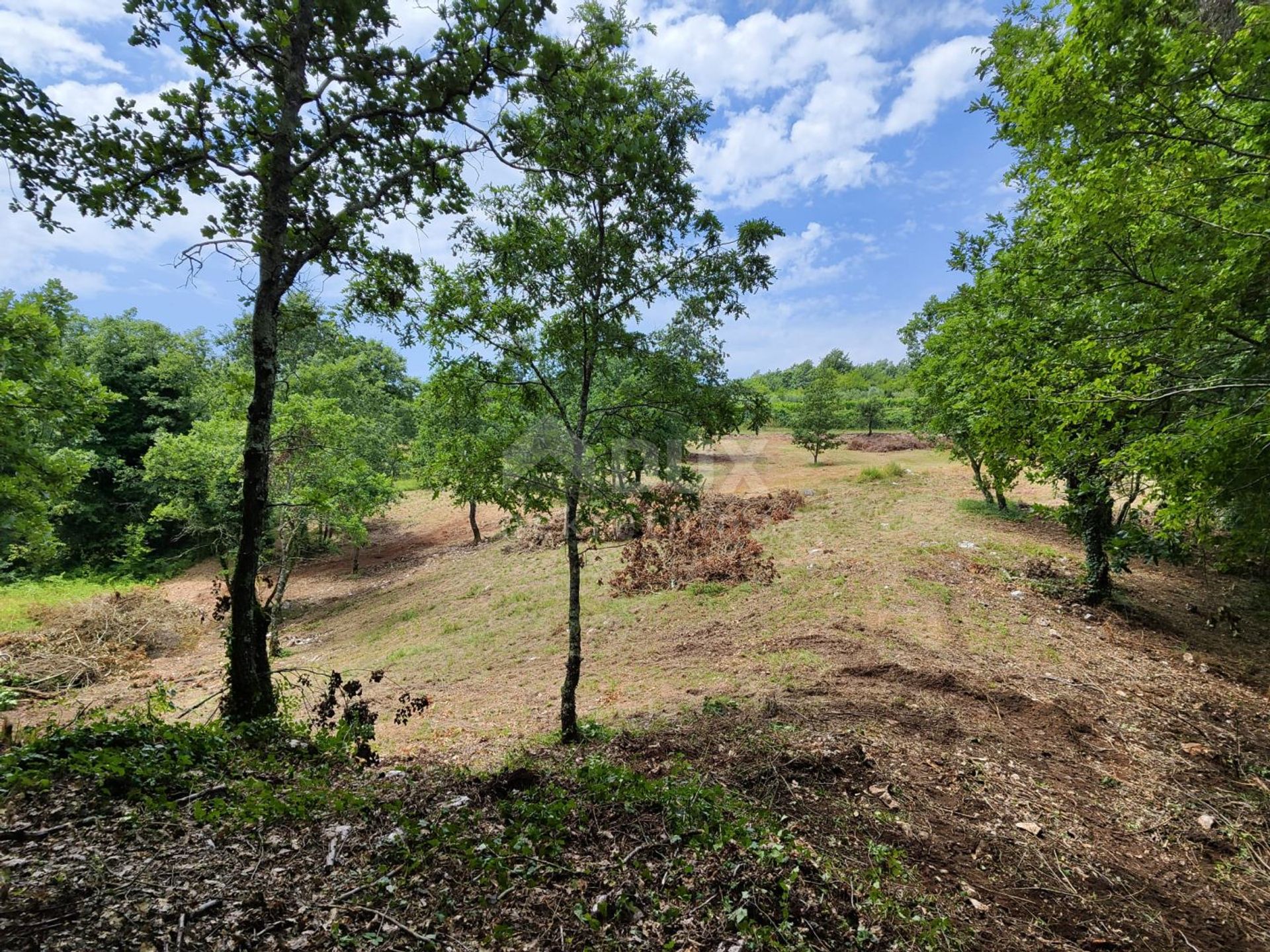 Land in Barban, Istarska Zupanija 12108129