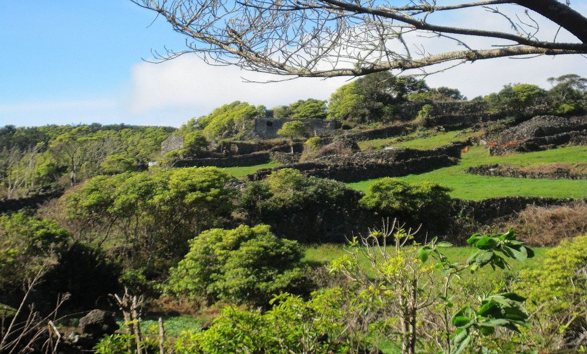 House in Ribeiras, Azores 12110973