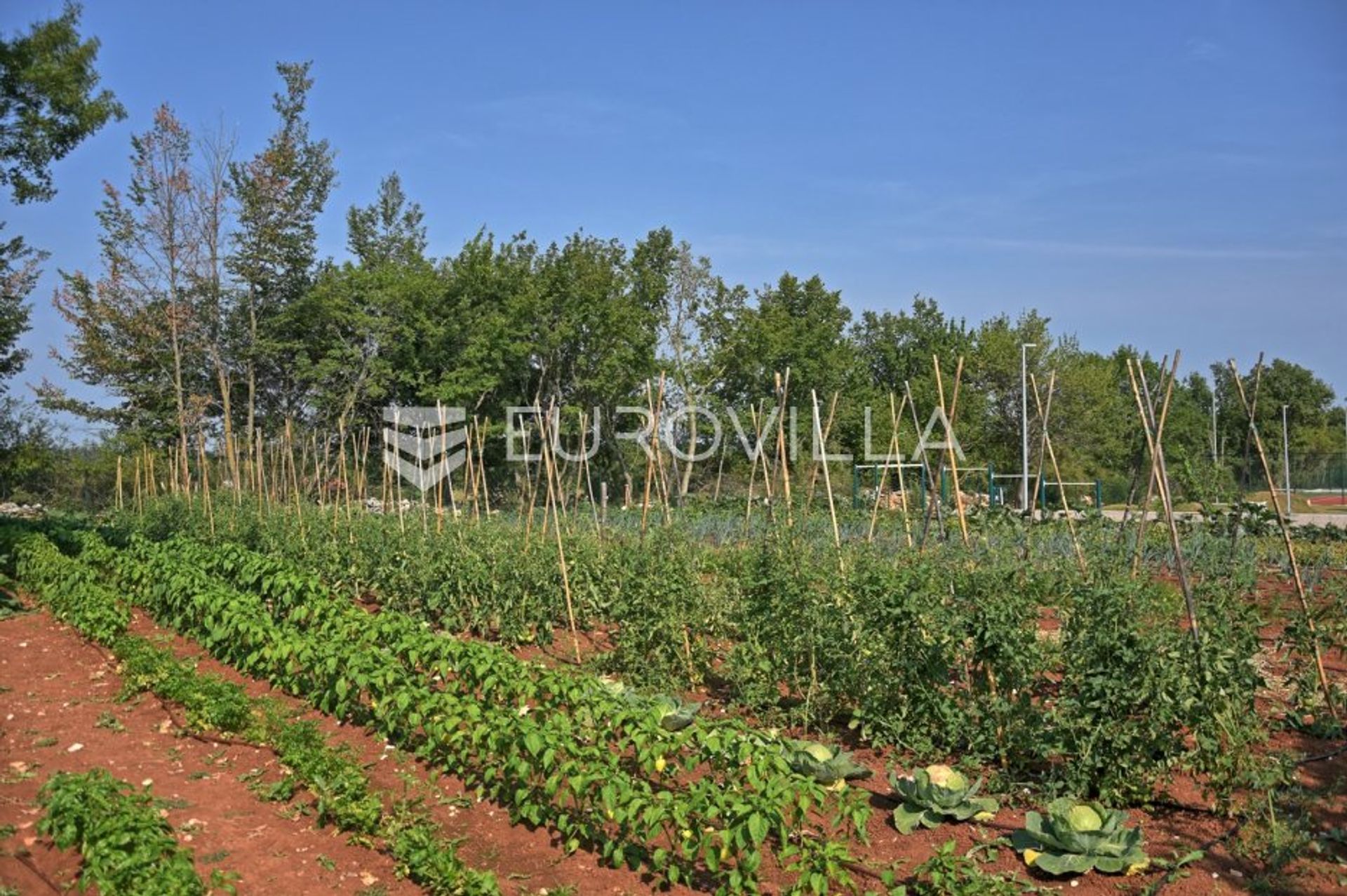 Rumah di Ladići, Istarska županija 12111004