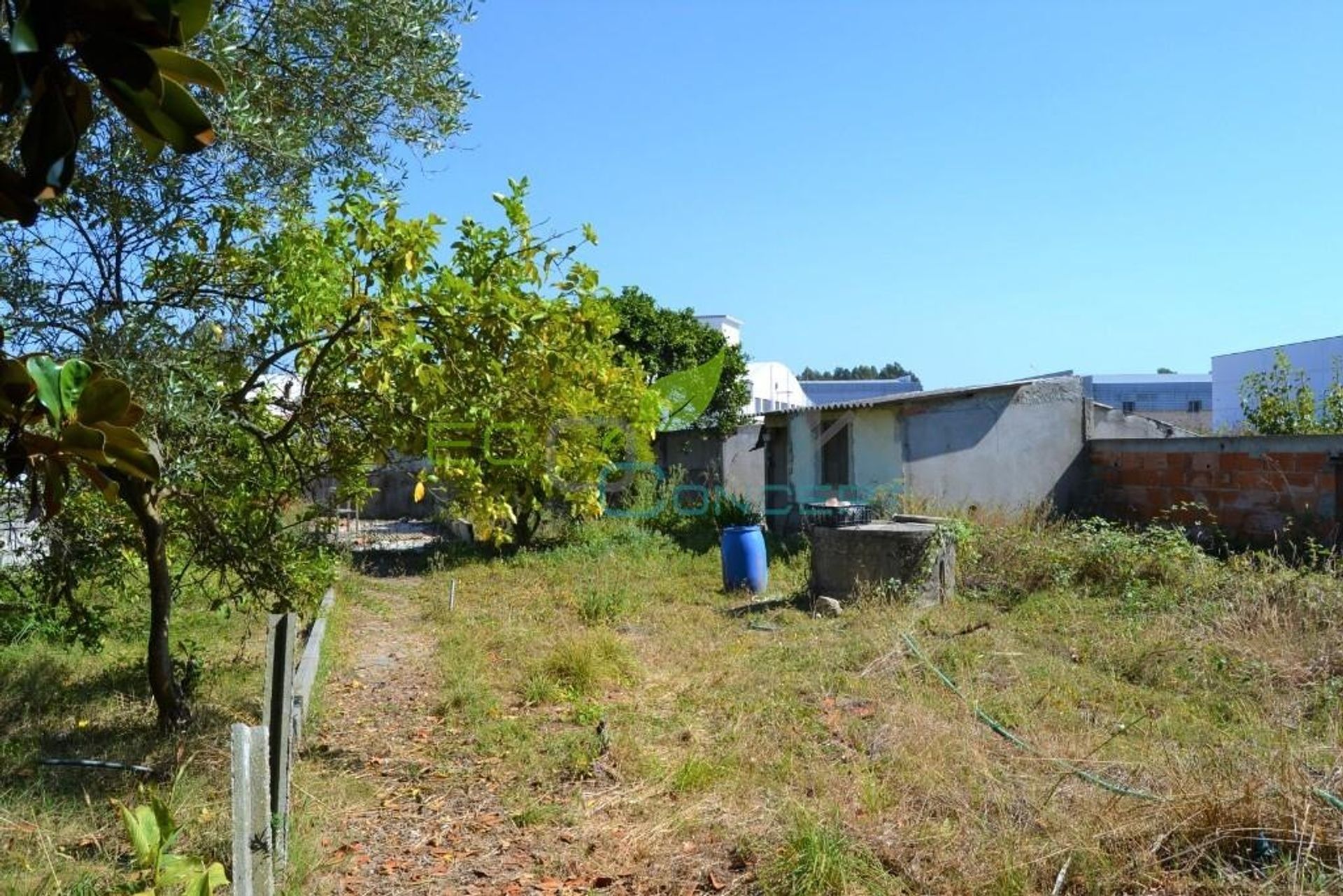 Autre dans Cortegaça, Aveiro District 12112526