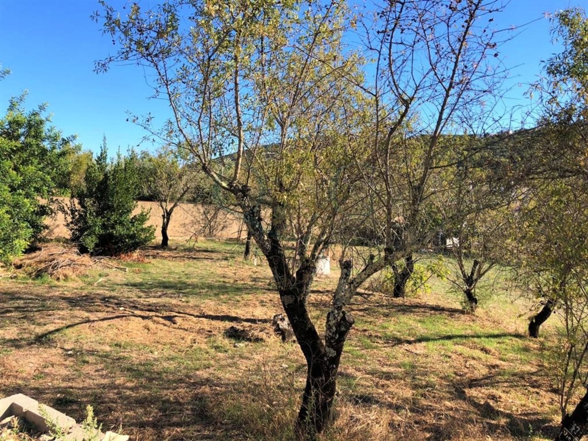 Tierra en Sao Brás de Alportel, Faraón 12112681