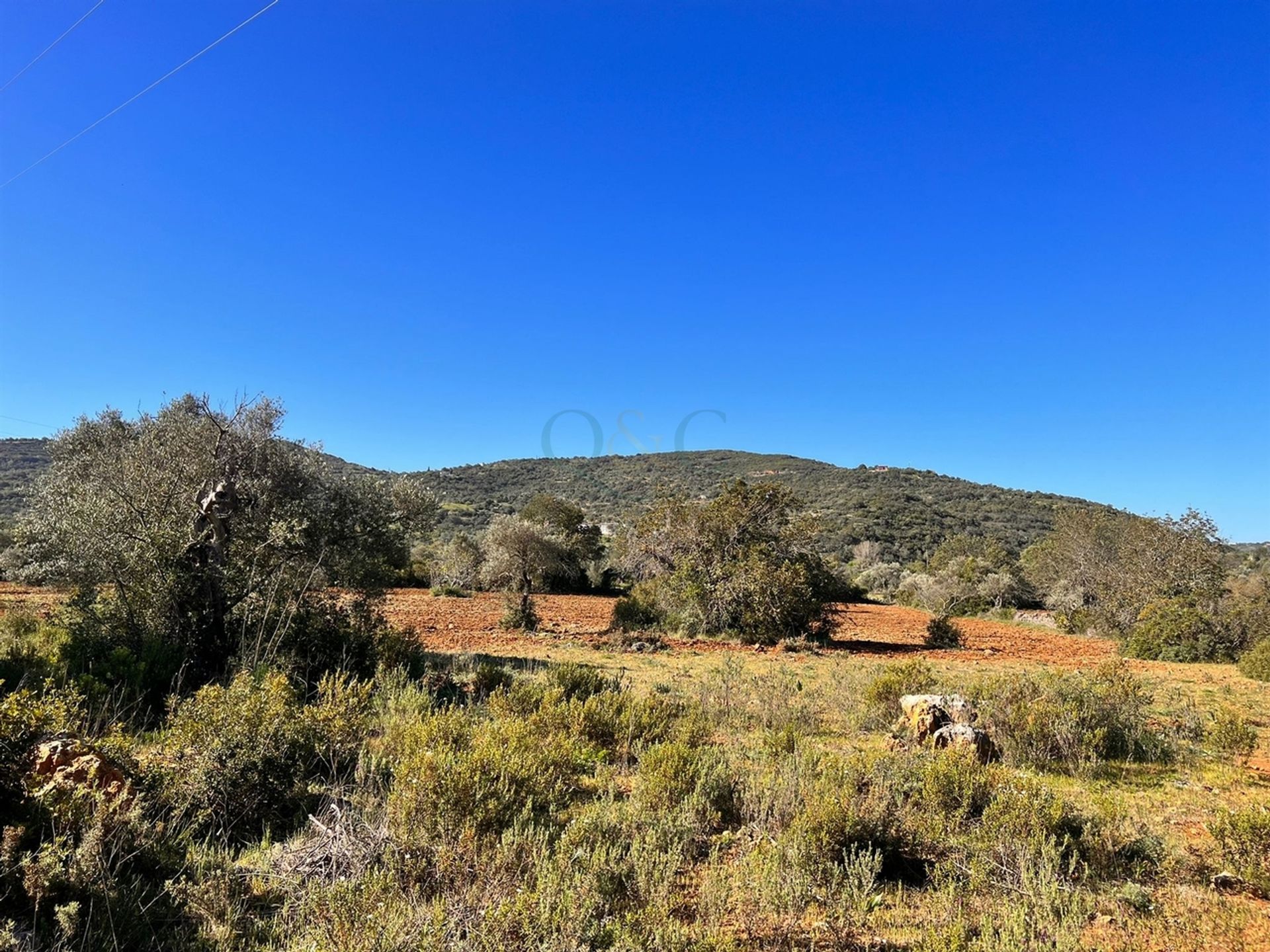 Tanah dalam Sao Bras de Alportel, Faro 12112684