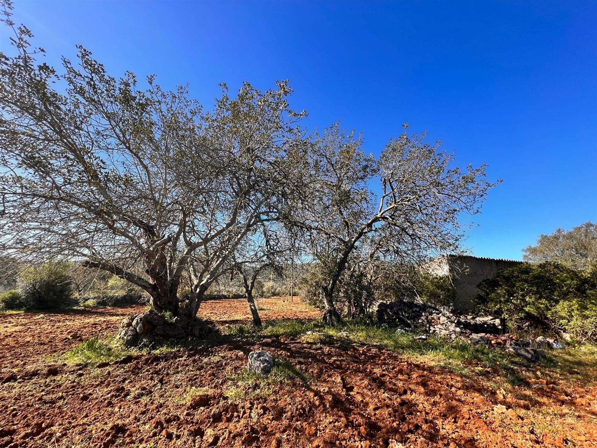 Tanah di Sao Bras de Alportel, Faro 12112684