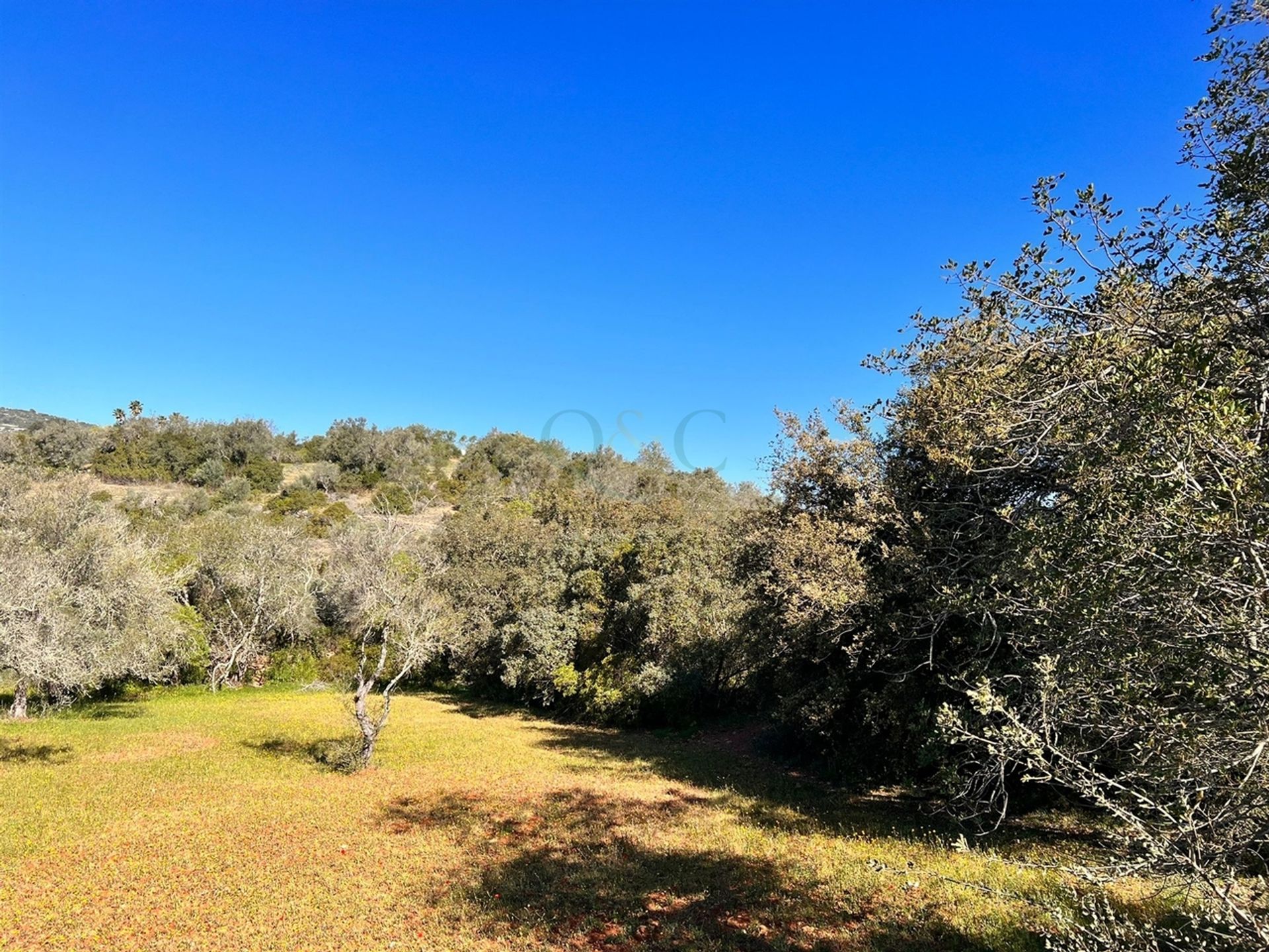 Tanah di Sao Bras de Alportel, Faro 12112684