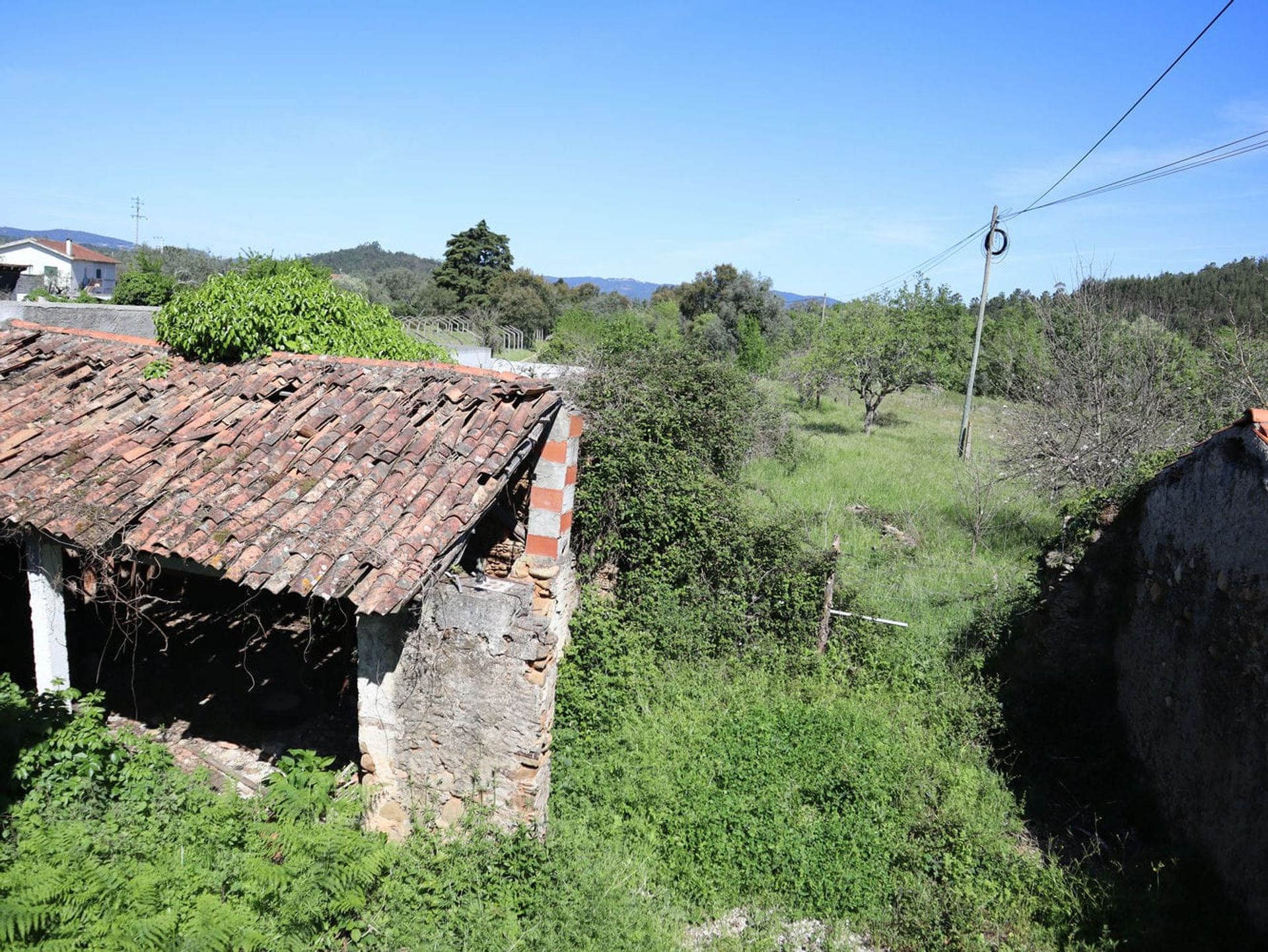 casa no , Coimbra 12113579