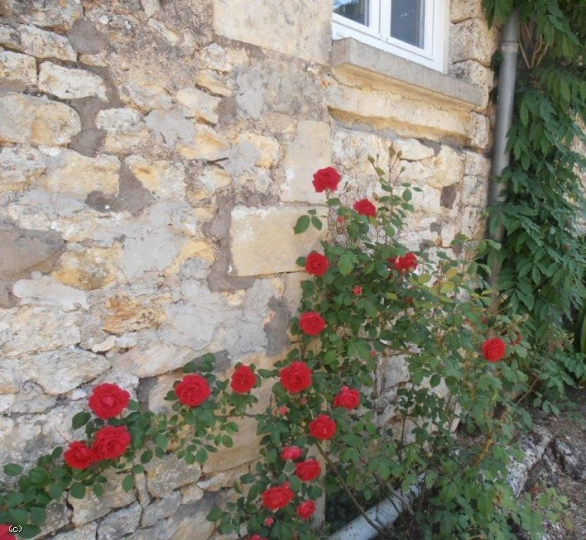 Casa nel Ruffec, Nouvelle-Aquitaine 12113679