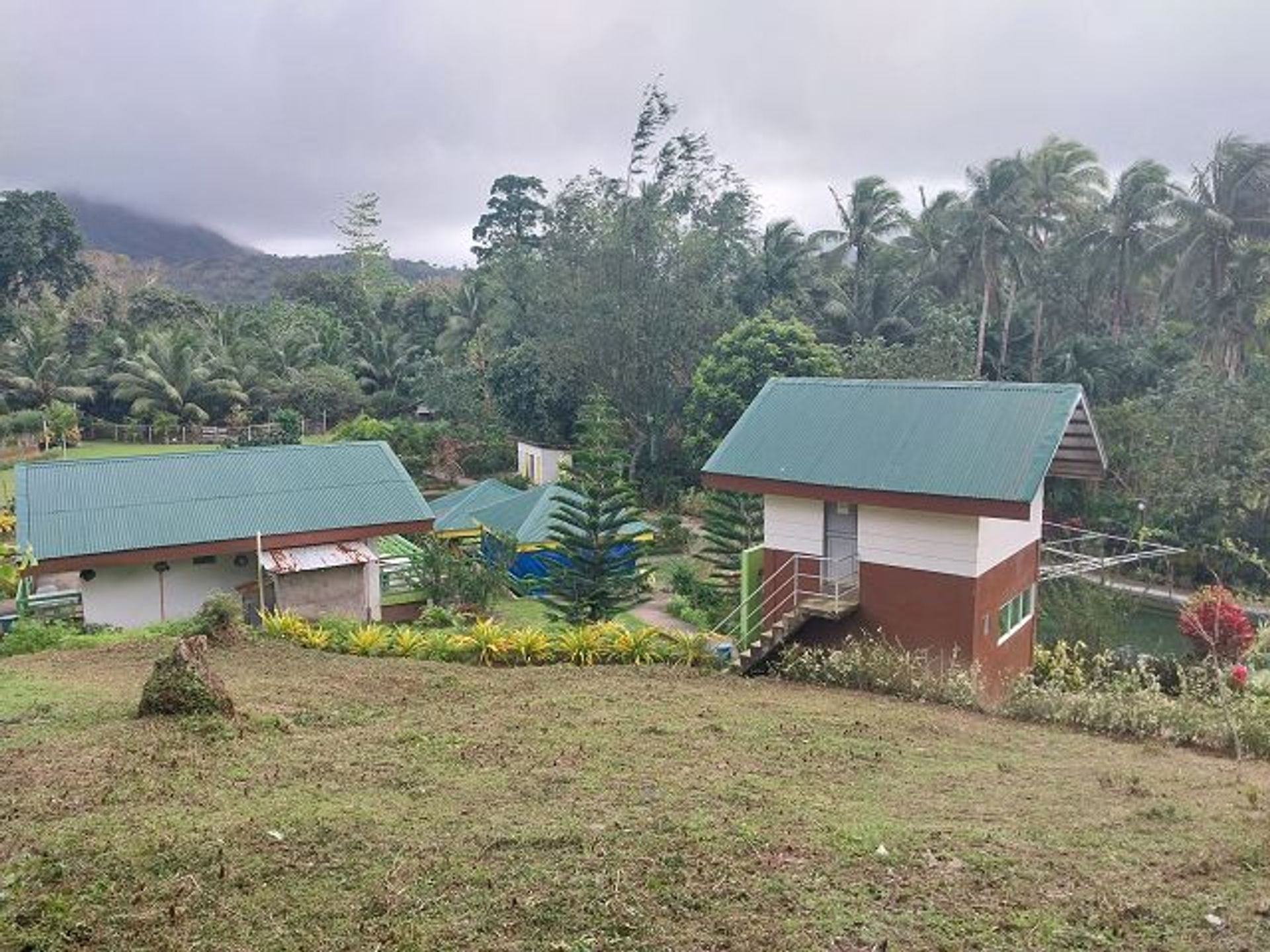 Retail in Bulusan, Bicol 12114110