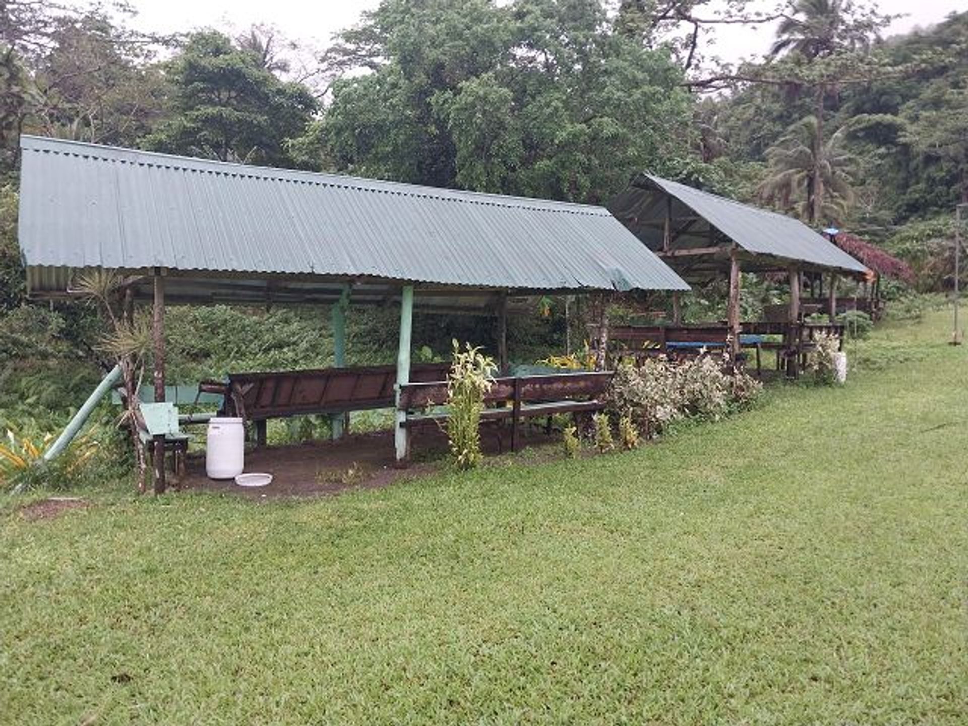 Retail in Bulusan, Bicol 12114110