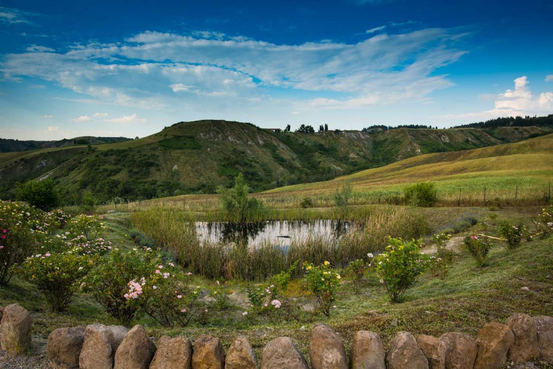 Condominium dans Château San Gimignano, Toscane 12114120