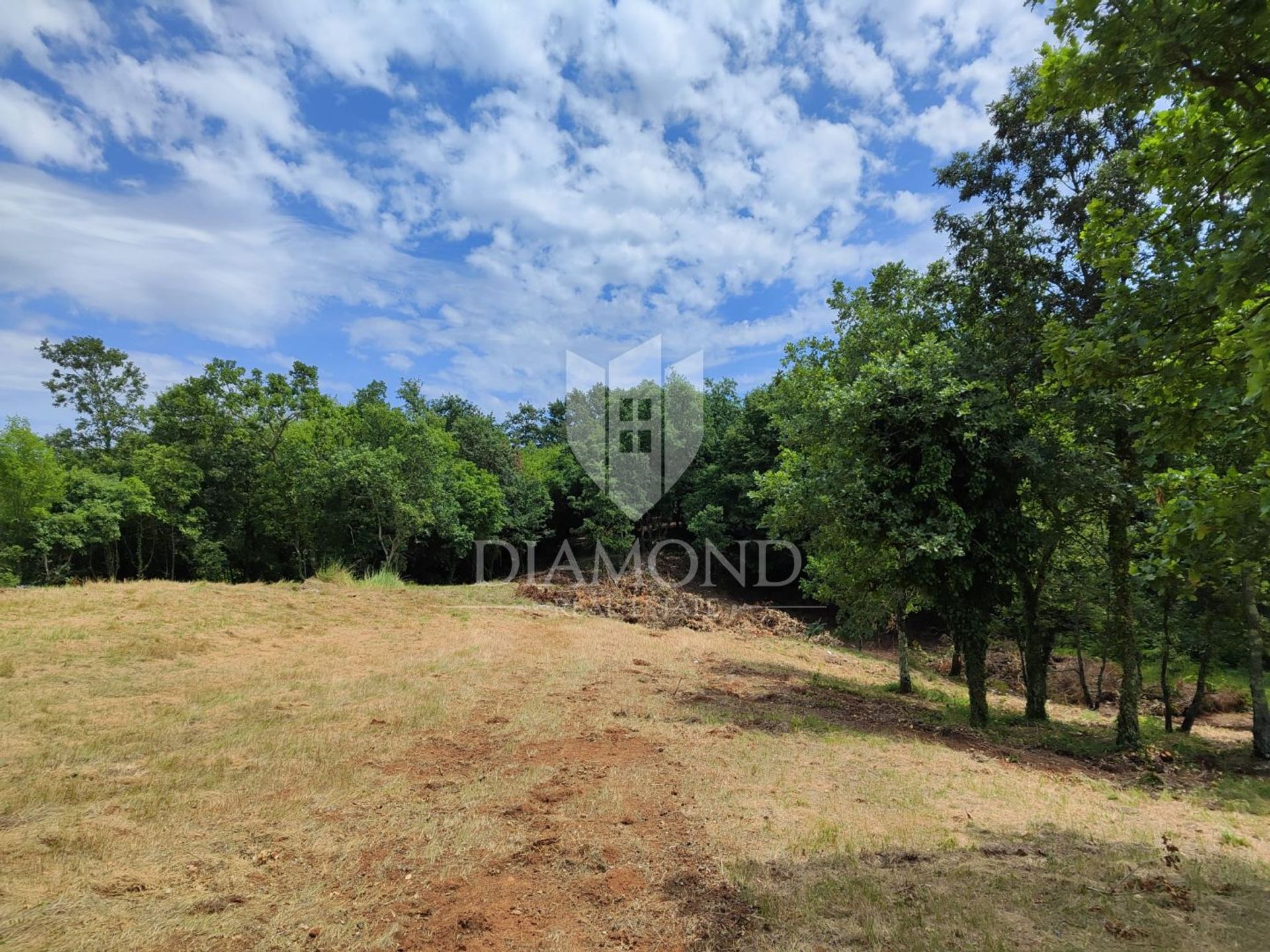 Land in Barban, Istria County 12117687