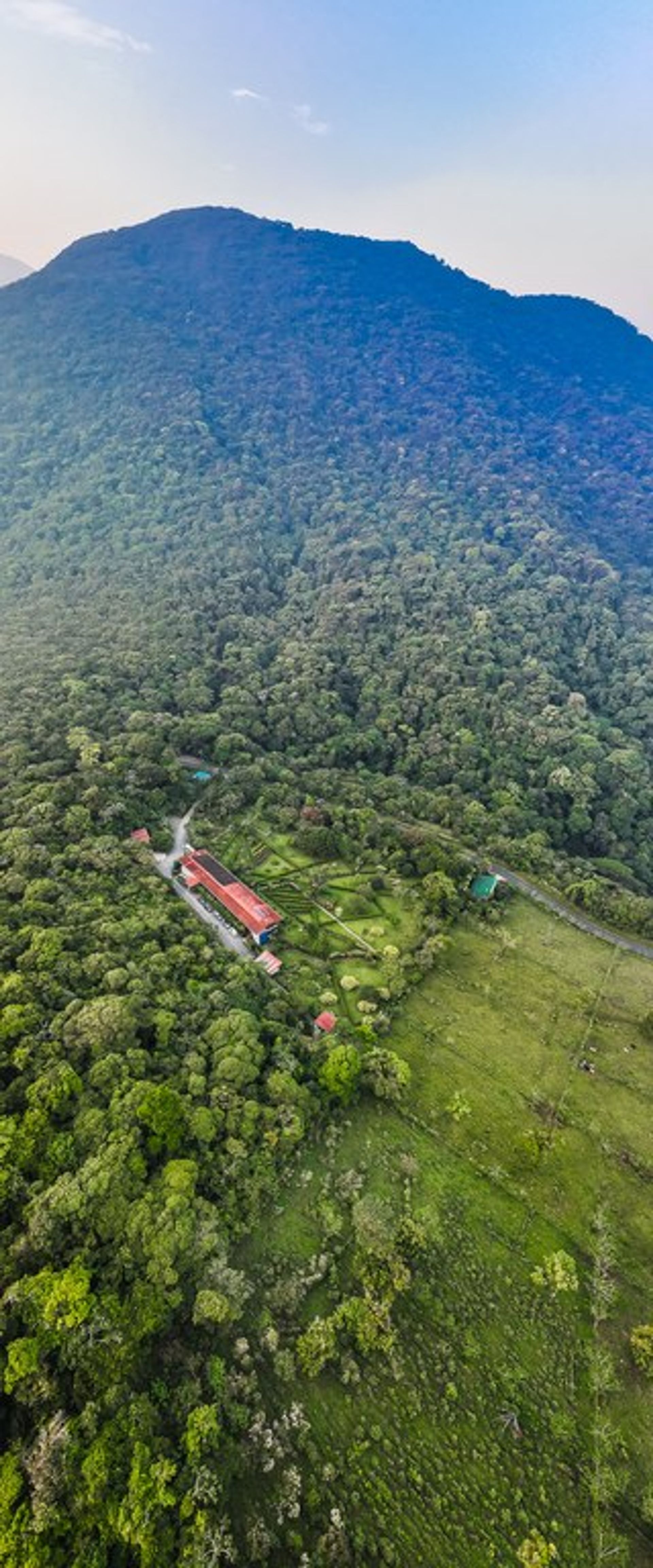 Pengecer di Canas, Guanacaste 12119097