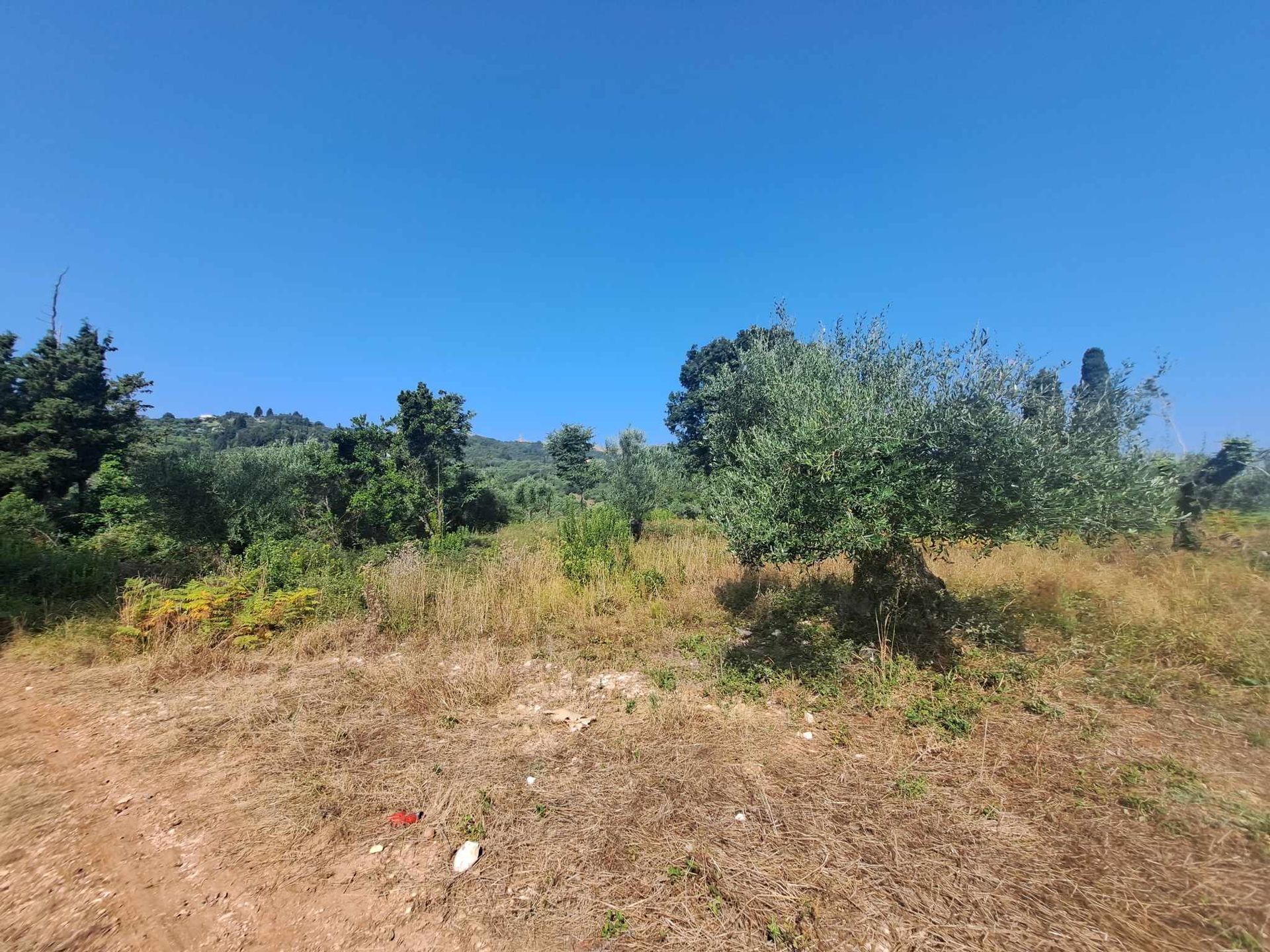 Land in Agios Stefanos Avliotes,  12119152