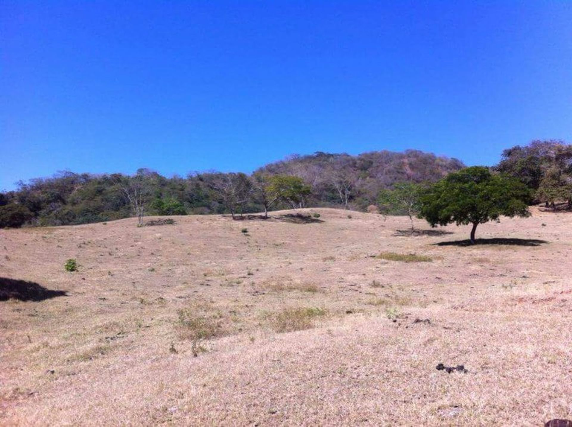 Jord i Ángeles, Guanacaste 12119187