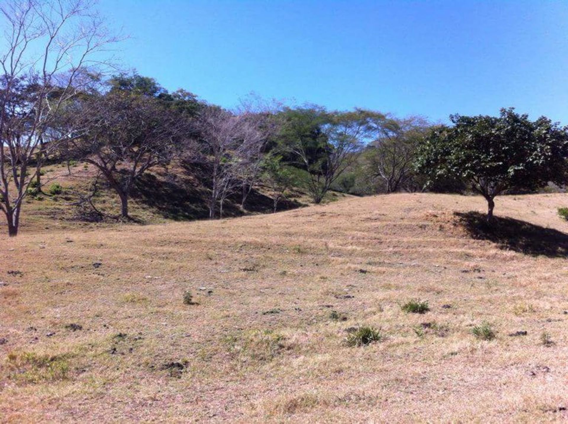 土地 在 Tempate, Provincia de Guanacaste 12119187