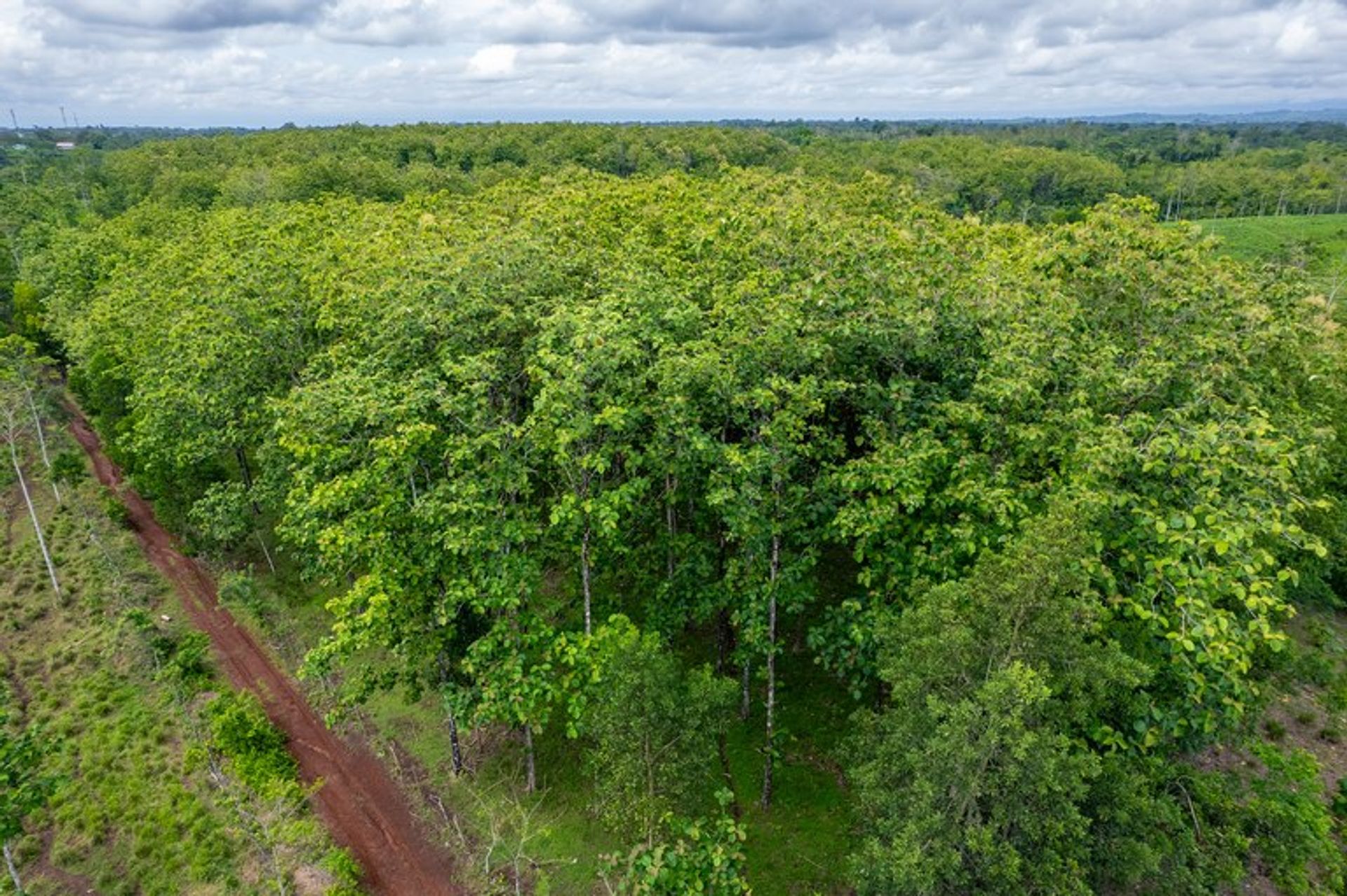 Land i Pocosol, Provincia de Alajuela 12119227