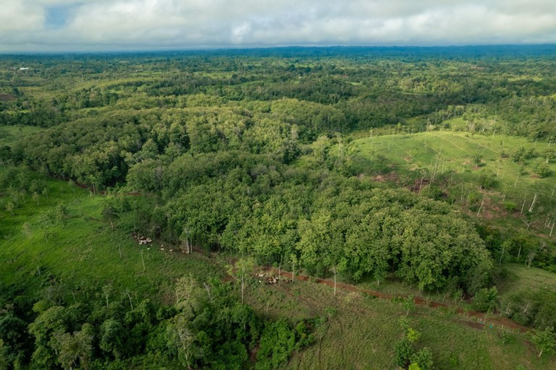 Terra no Abundancia, Alajuela 12119227