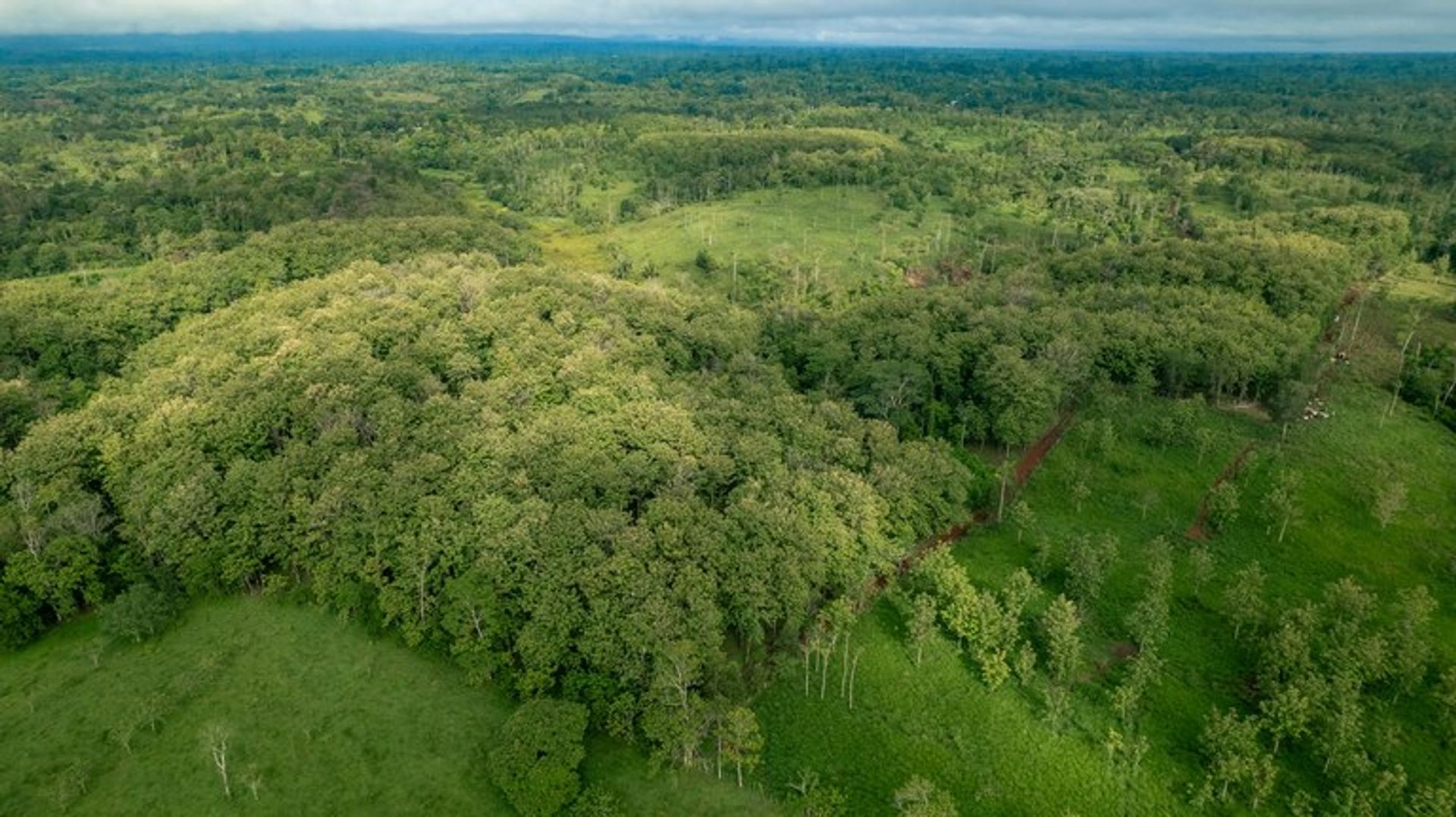 Terra no Abundancia, Alajuela 12119227