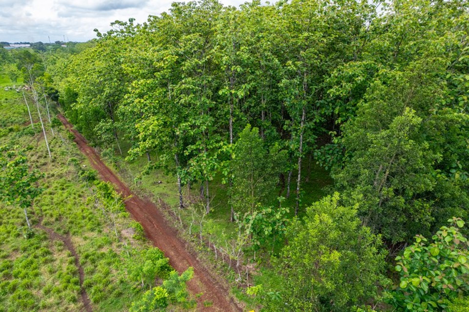 Land i Pocosol, Provincia de Alajuela 12119227