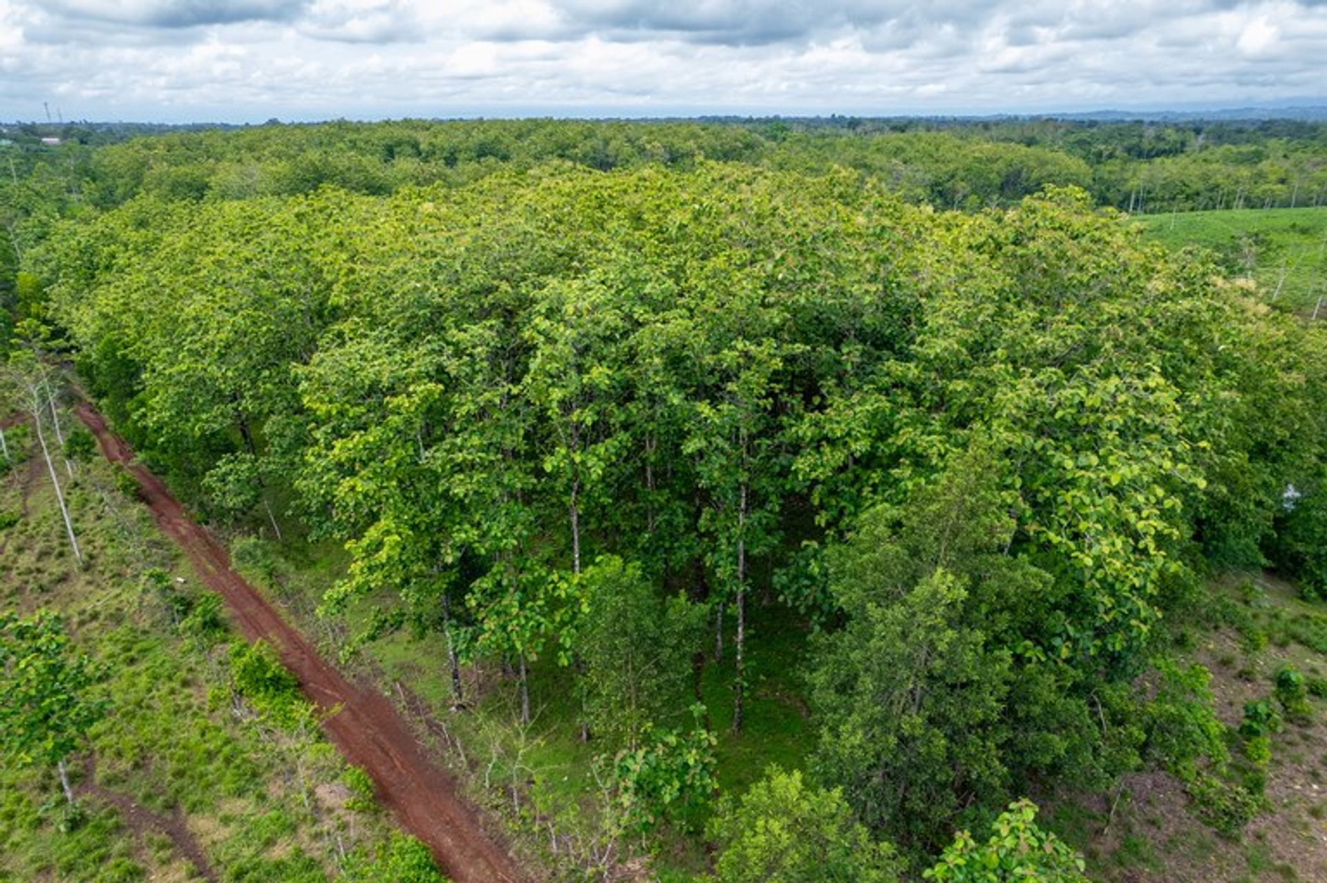 Land i Pocosol, Provincia de Alajuela 12119227