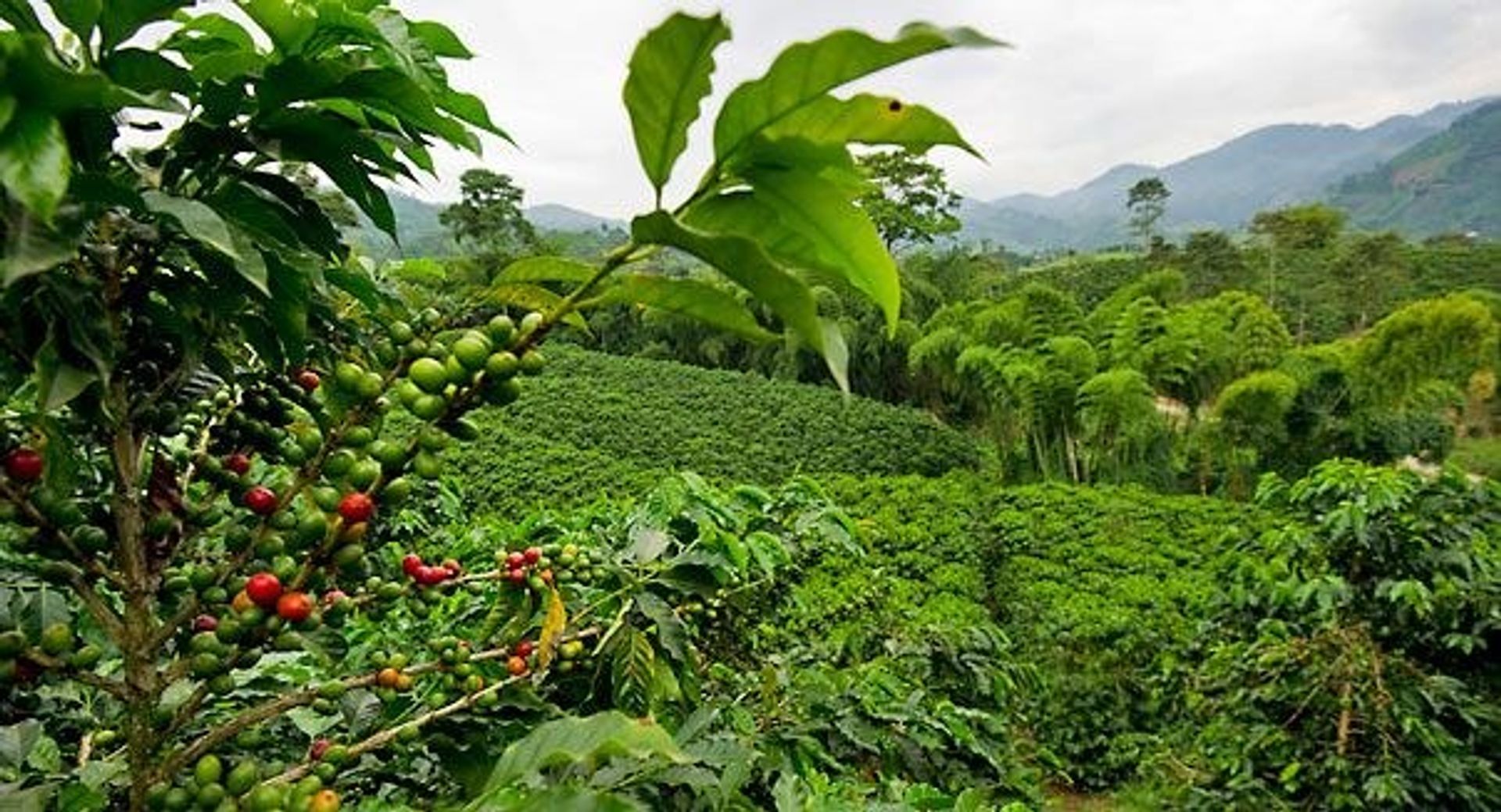 loger dans Alajuela, Alajuela Province 12119234