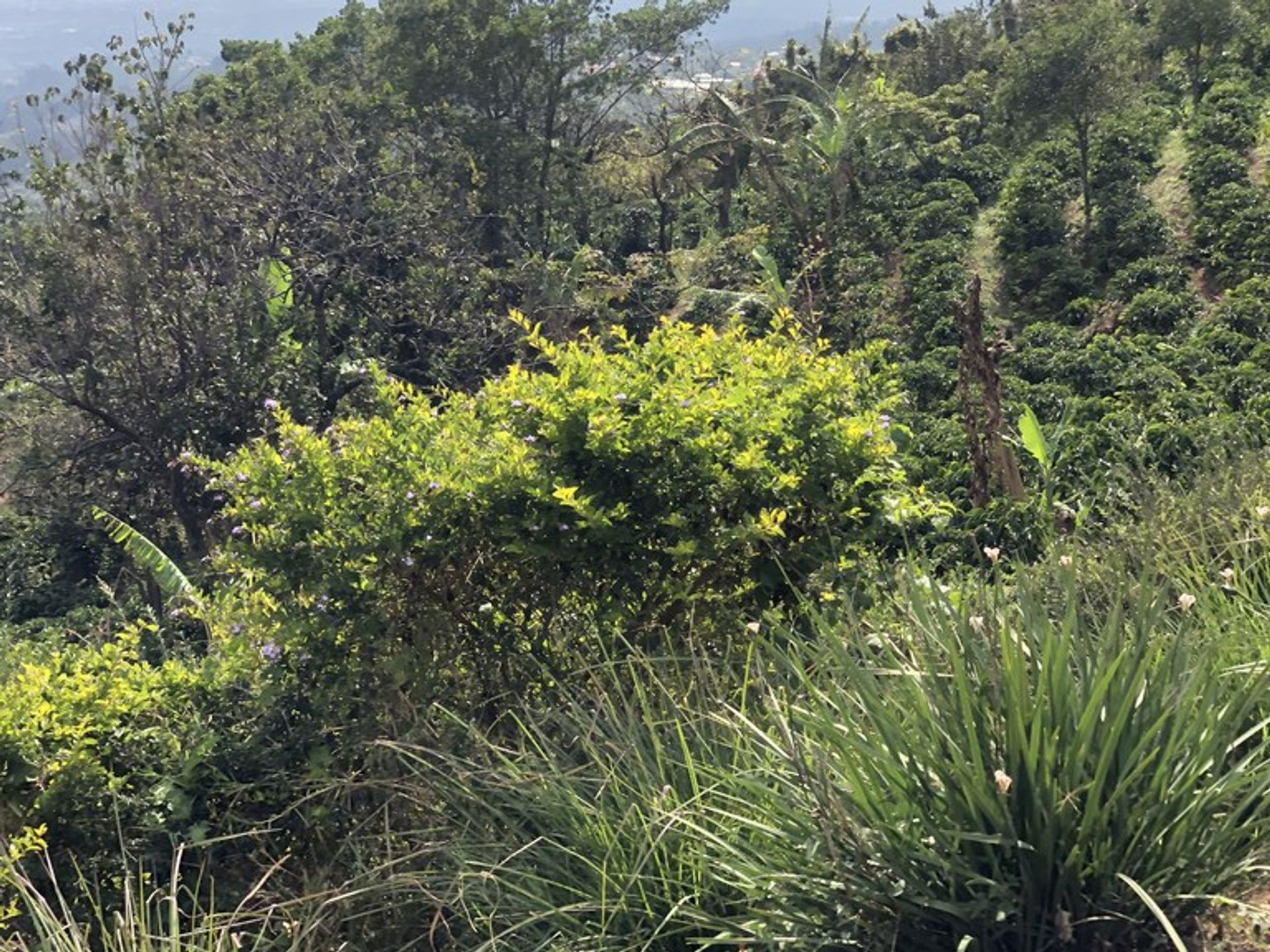 casa no Alajuela, Alajuela 12119234