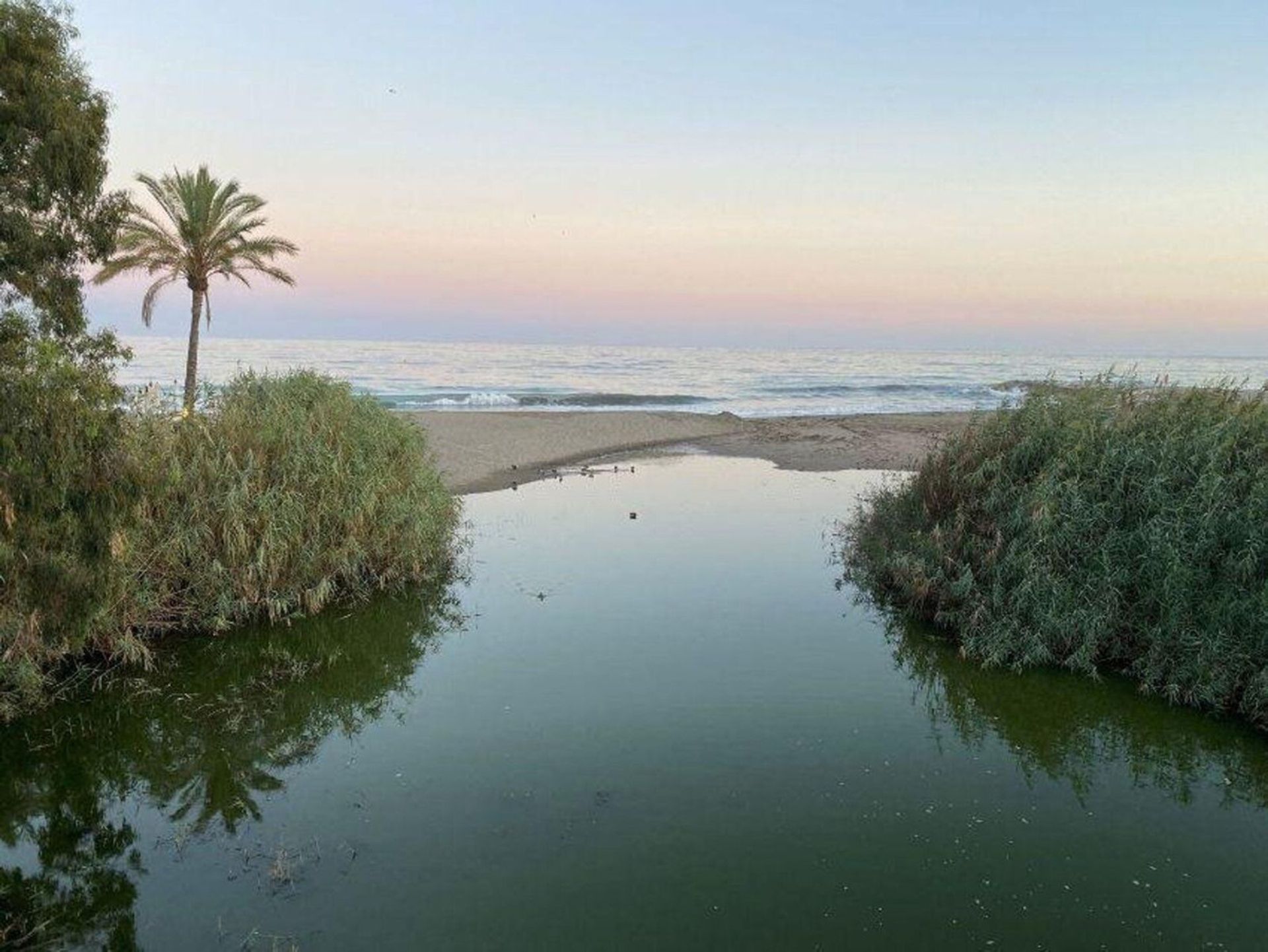 Eigentumswohnung im Marbella, Andalucía 12119359